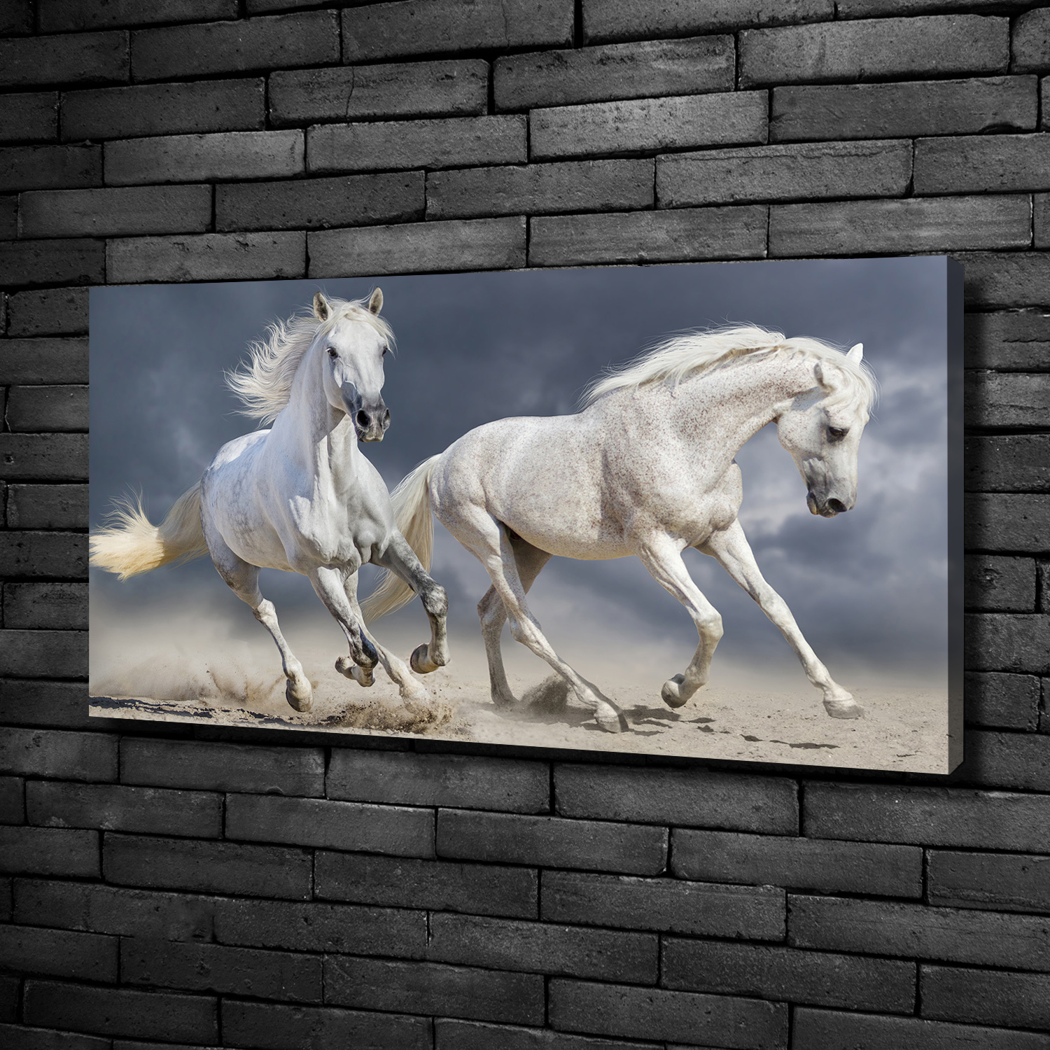 Leinwandbild Kunst-Druck 100x50 Bilder Tiere Pferd