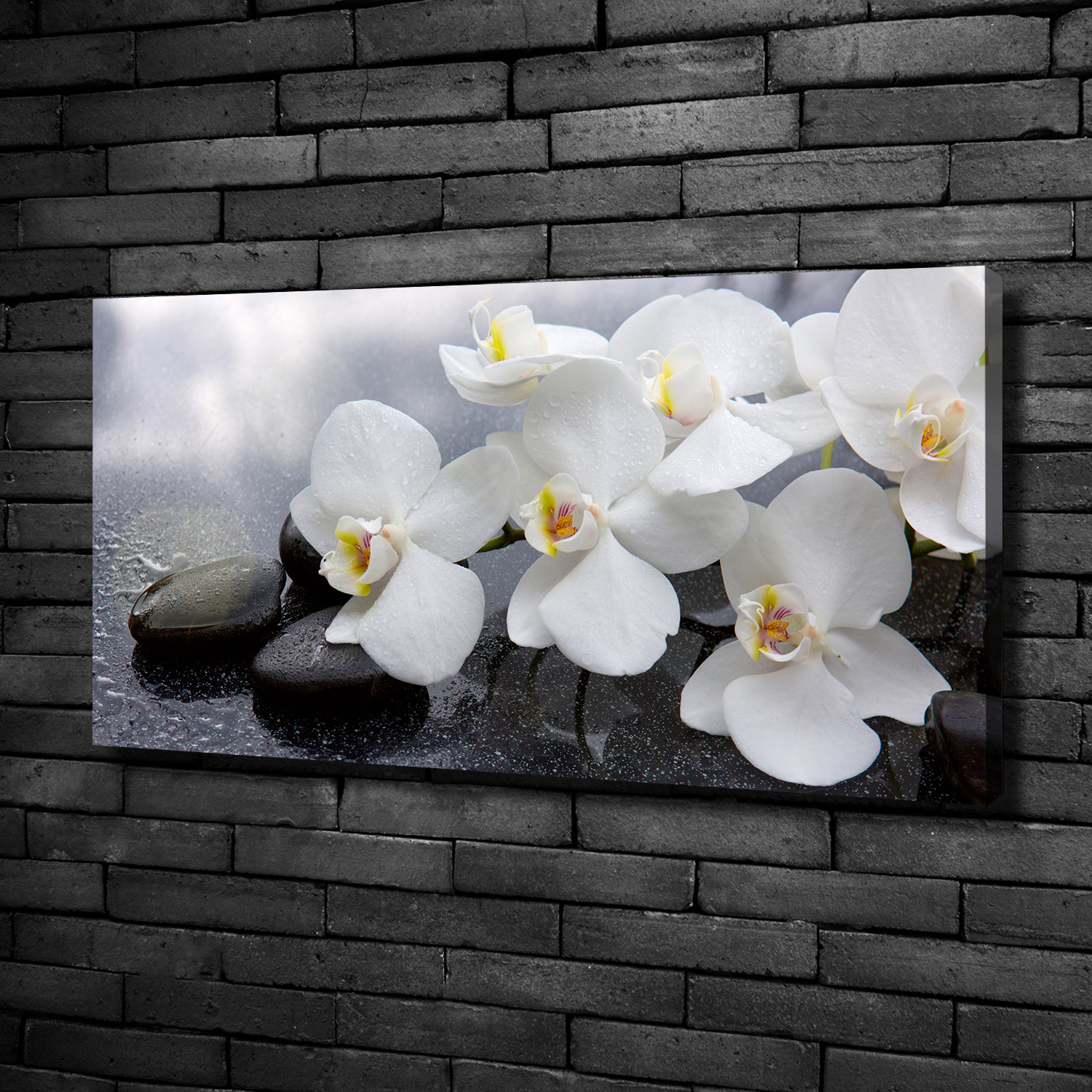 Leinwandbild Kunst-Druck 100x50 Bilder Blumen & Pflanzen Orchidee | eBay