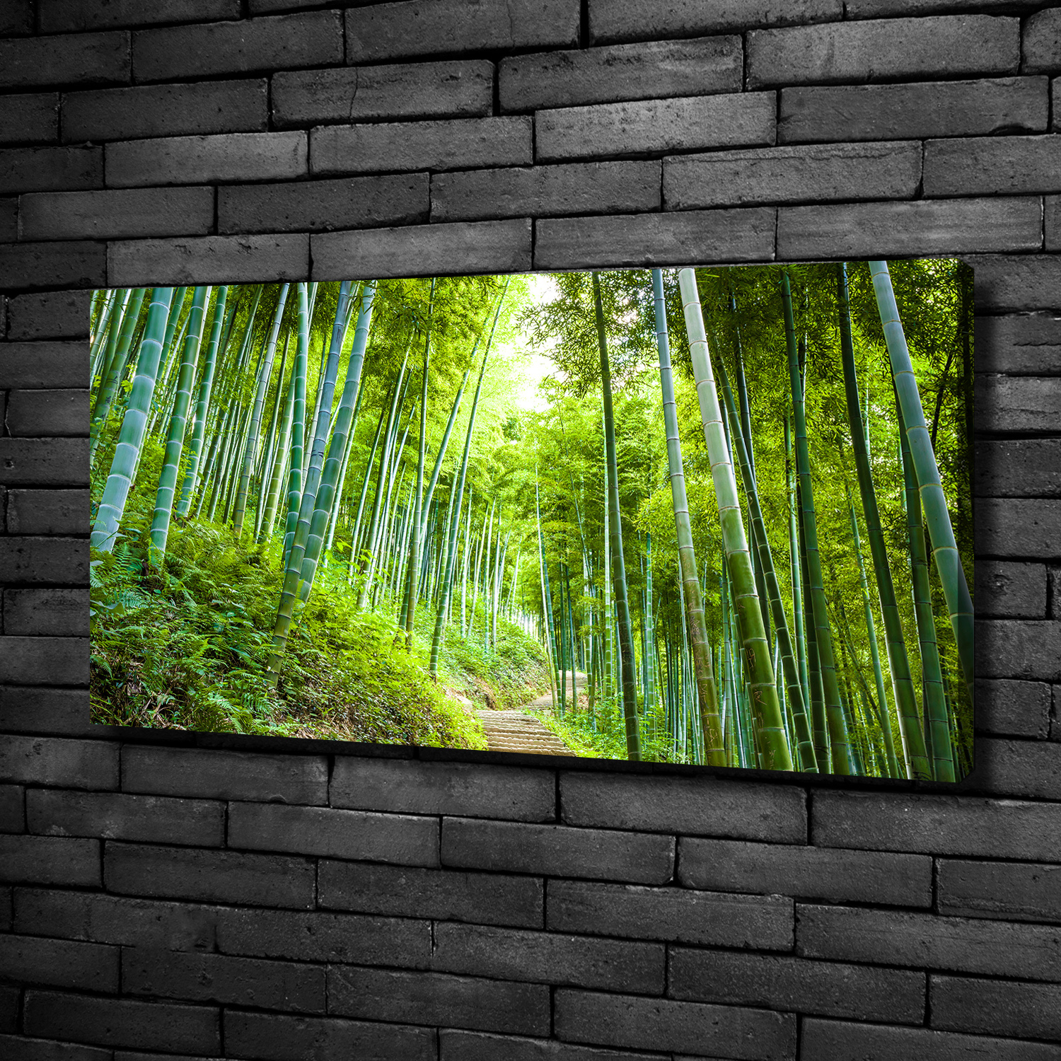Leinwandbild Kunst-Druck 100x50 Bilder Landschaften Bambuswald