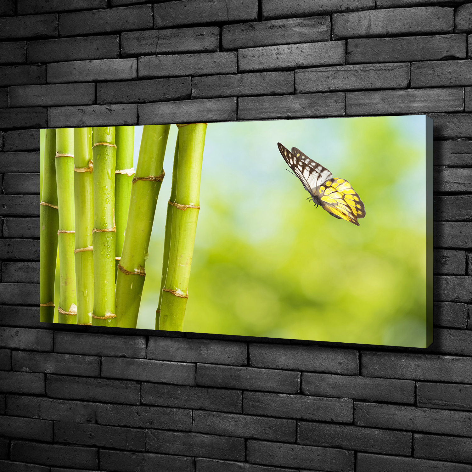 Glasbilder 100x50 Wandbild Druck auf Glas Bambus Pflanzen 