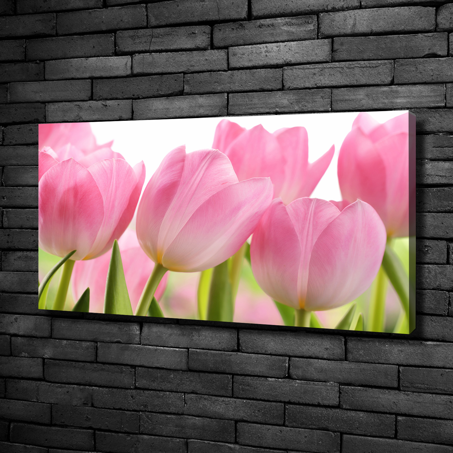 Leinwandbild Kunst-Druck 100x50 Bilder Blumen & Pflanzen Rosa Tulpen | eBay