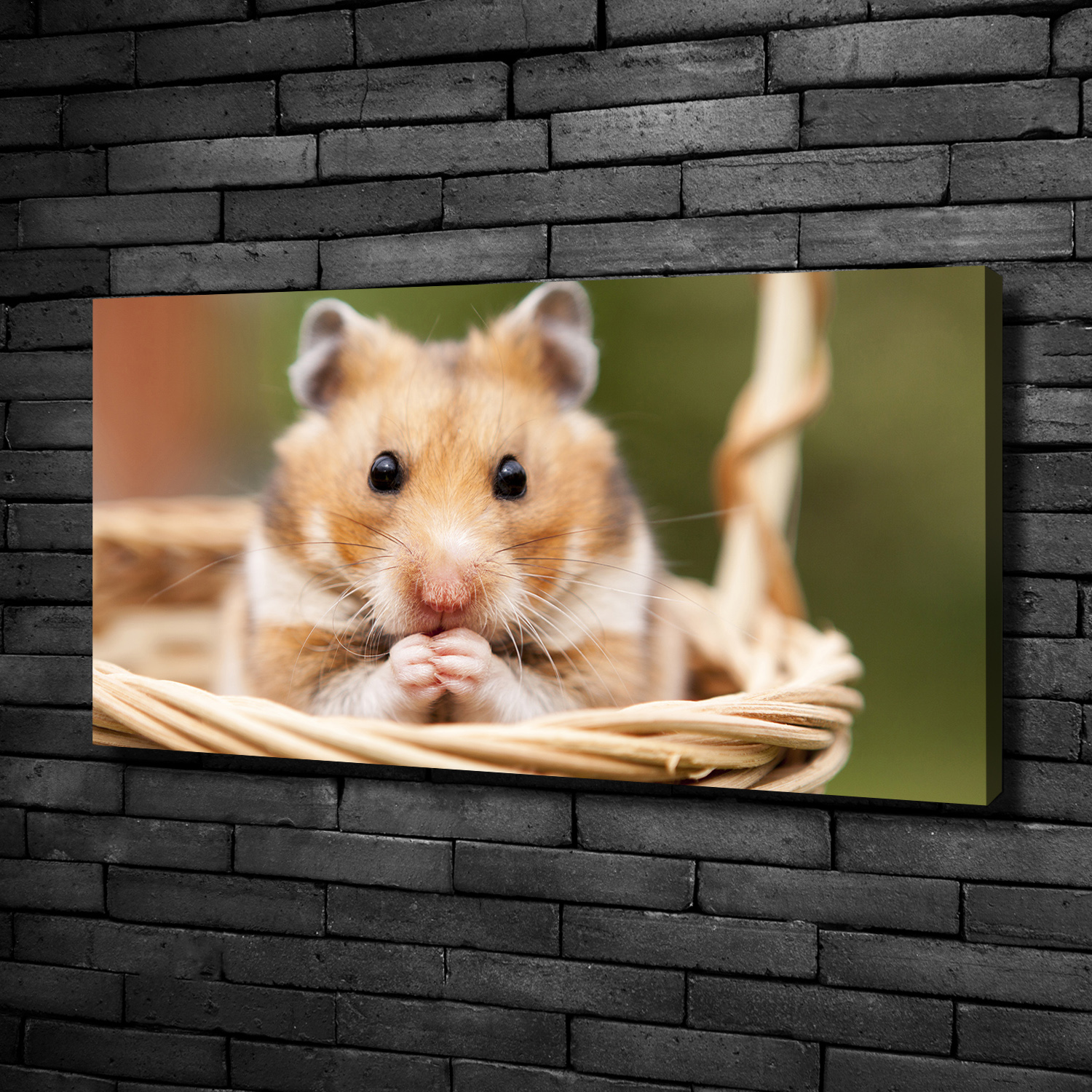 Leinwandbild Kunst-Druck 100x50 Bilder Tiere Hamster im Korb | eBay