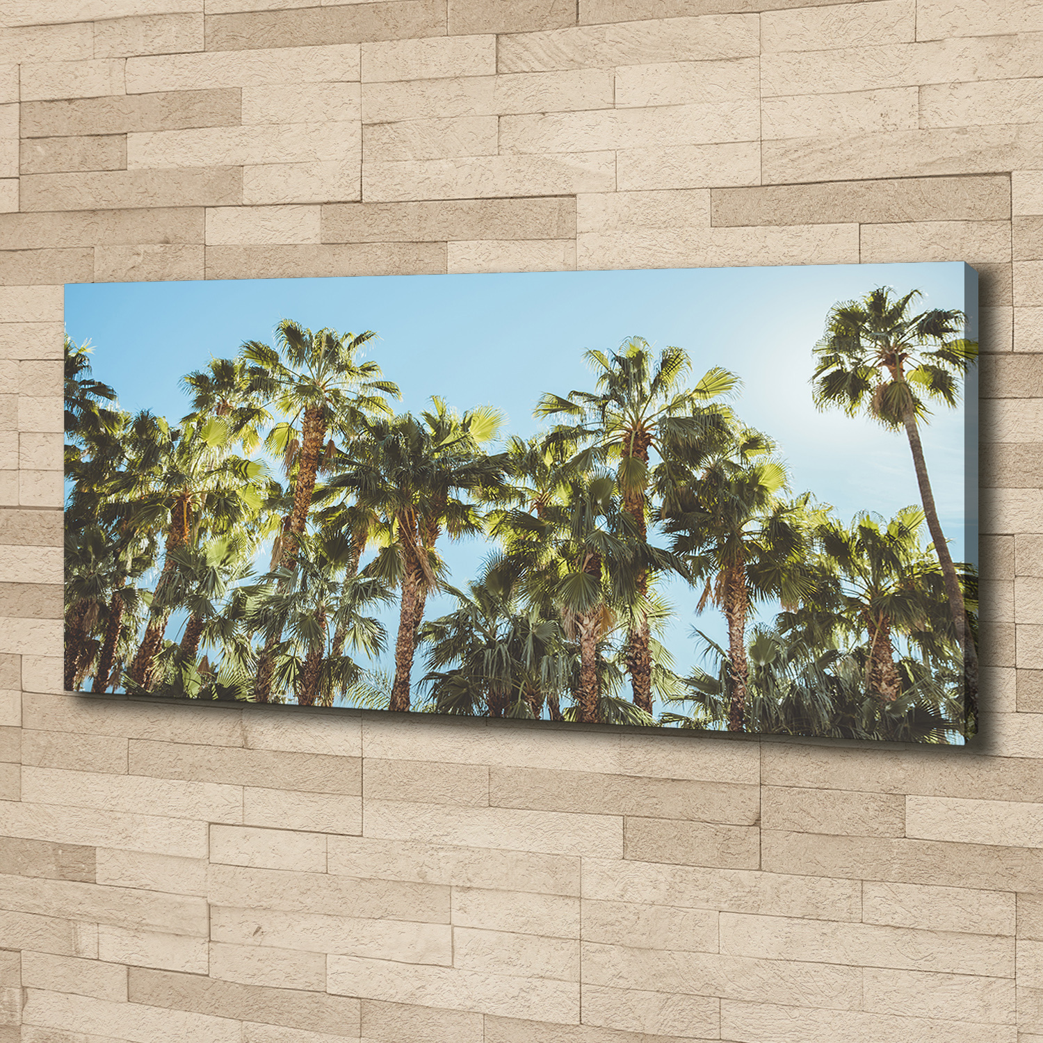 Leinwandbild Kunst-Druck 125x50 Bilder Landschaften Hohe Palmen
