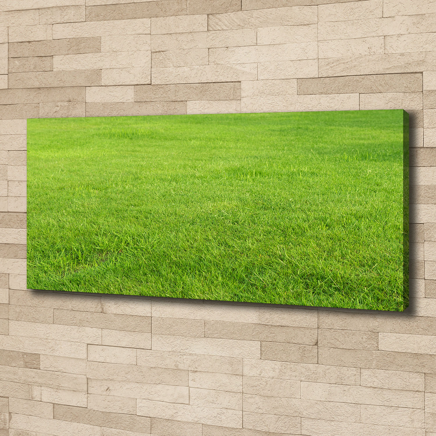 Leinwandbild Kunst-Druck 125x50 Bilder Landschaften Grünes Gras