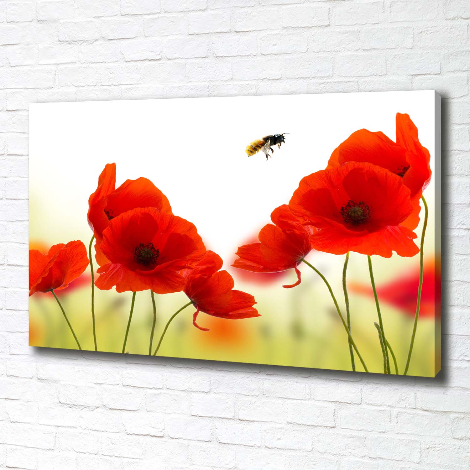 Leinwandbild Kunst-Druck 100x70 Bilder Blumen & Pflanzen Mohnblumen