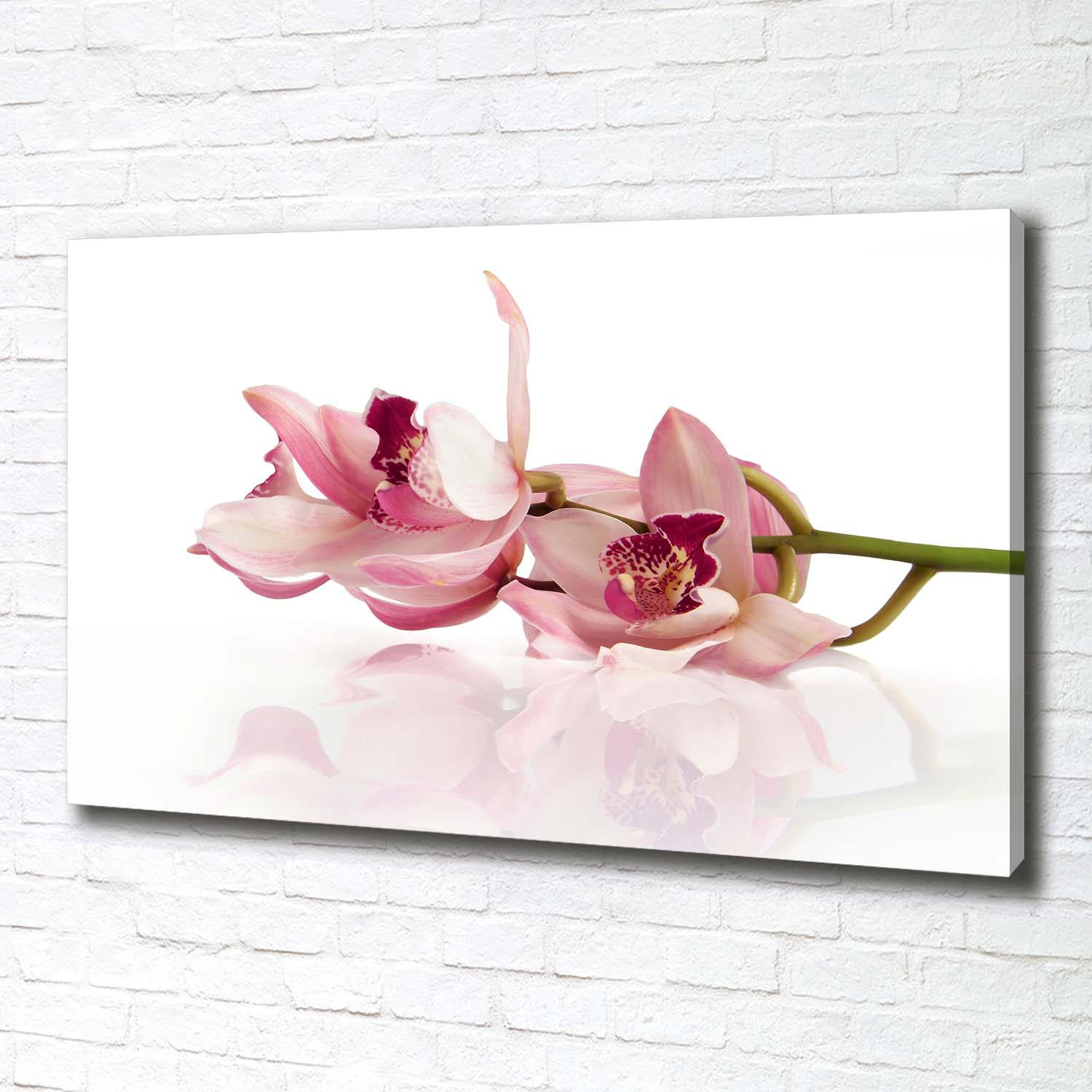 Leinwandbild Kunst-Druck 100x70 Bilder Blumen & Pflanzen Orchidee