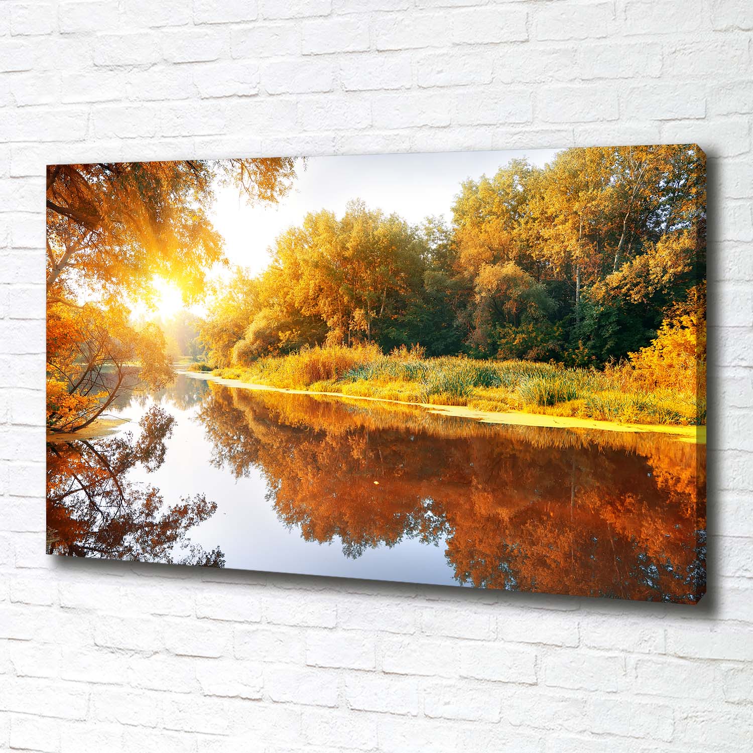Leinwandbild Kunst-Druck 100x70 Bilder Landschaften Herbstwald