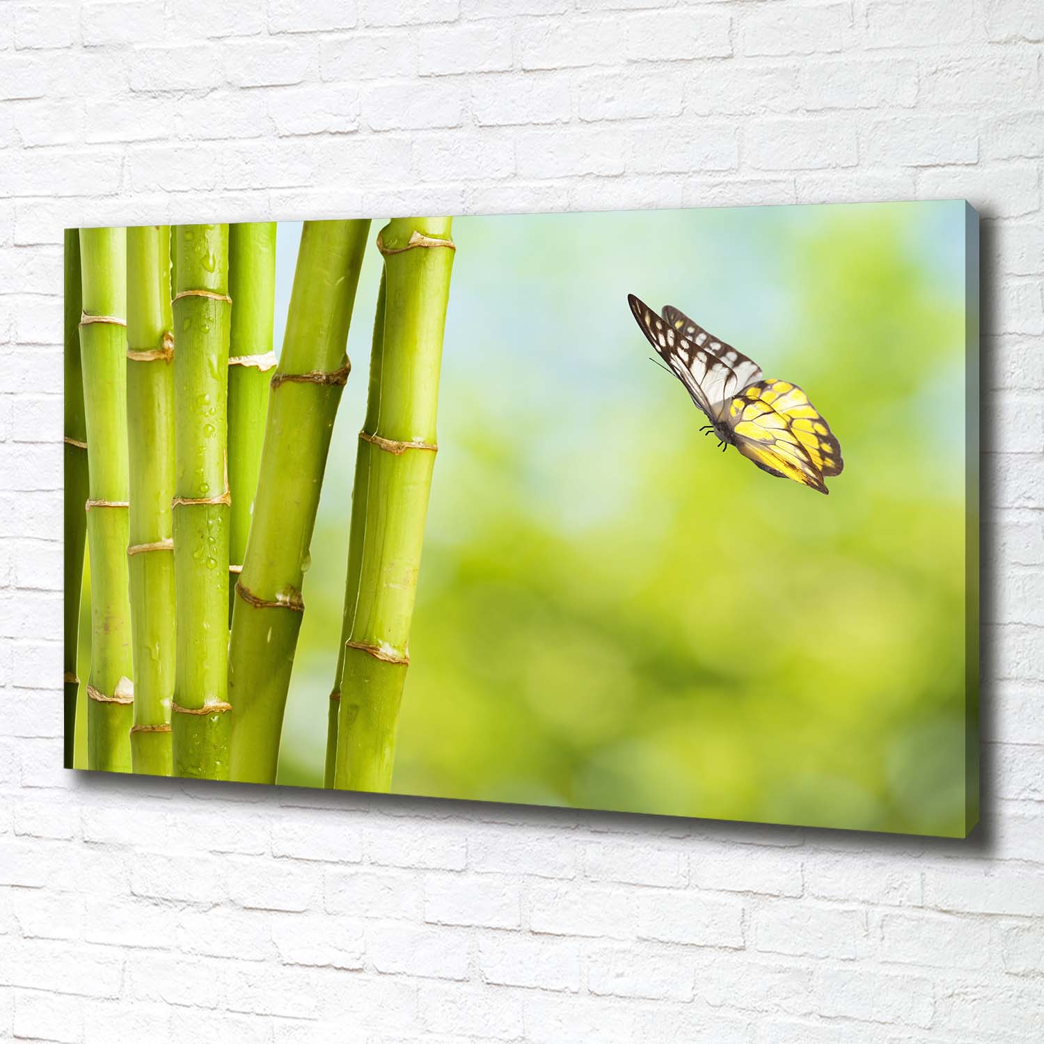 Leinwandbild Kunst-Druck 100x70 Bilder Pflanzen Bambus Schmetterling