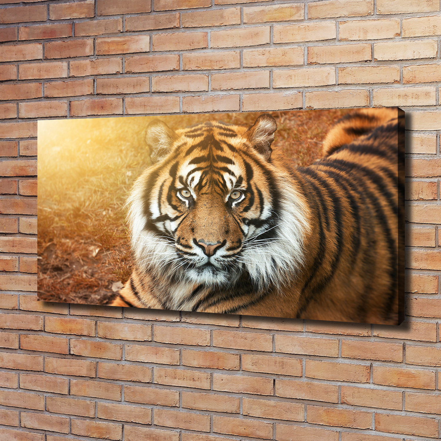 Leinwandbild Kunst-Druck 120x60 Bilder Tiere Bengalischer Tiger
