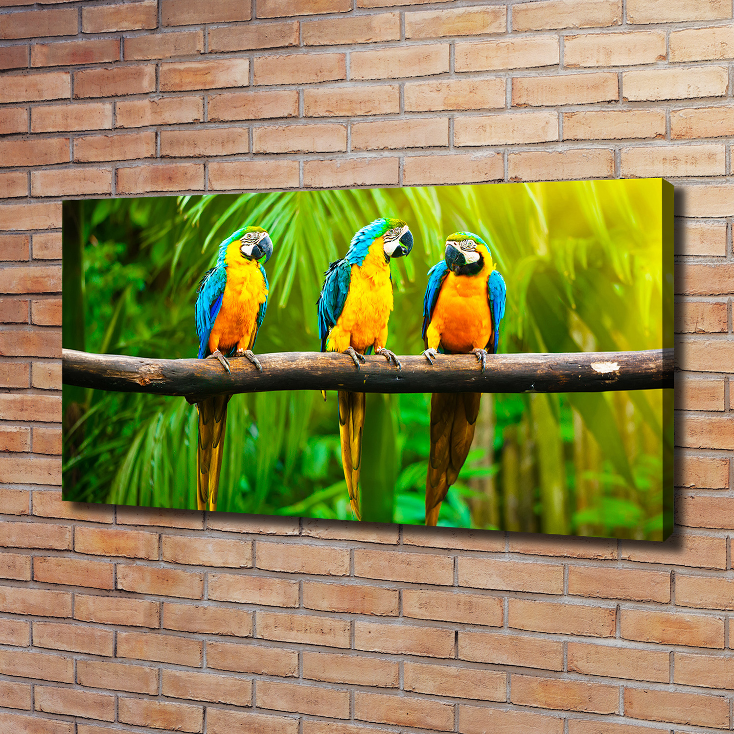 Leinwandbild Kunst-Druck 120x60 Bilder Tiere Papageien auf Ast