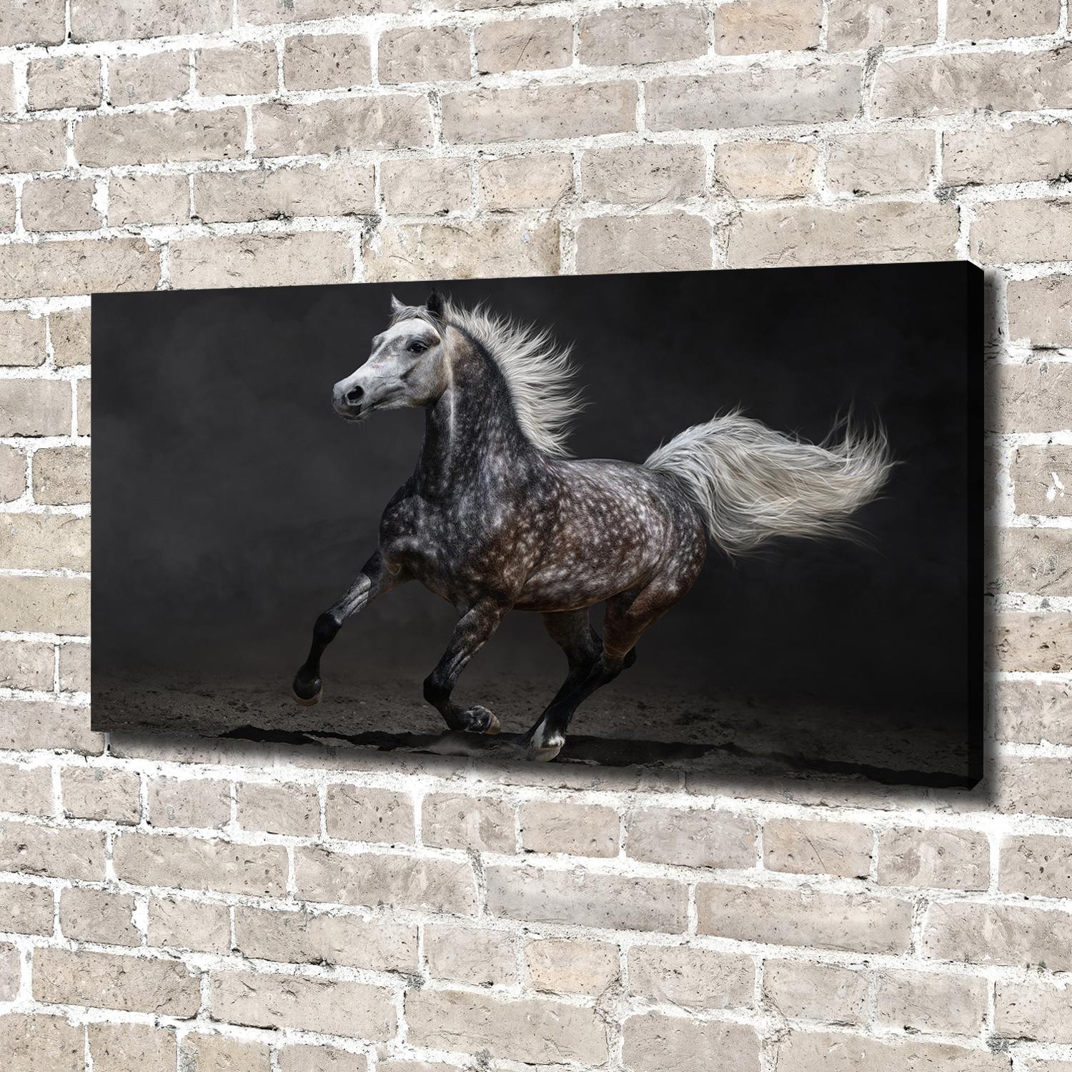 Leinwandbild Kunst-Druck 140x70 Bilder Tiere Graues Pferd