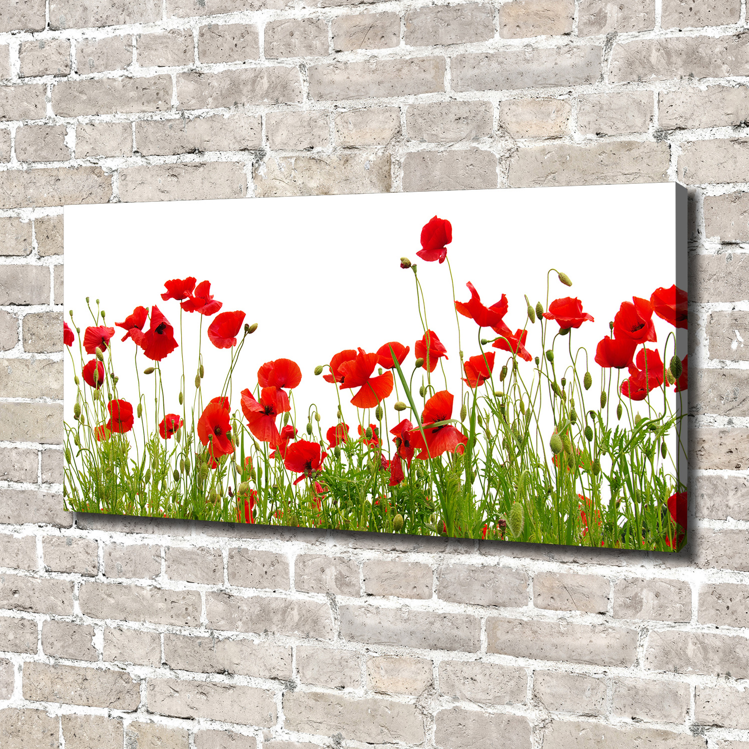 Leinwandbild Kunst-Druck 140x70 Bilder Blumen & Pflanzen Mohnblumen | eBay
