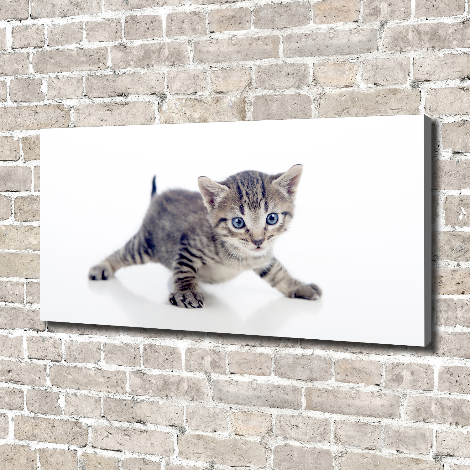 Leinwandbild Kunst-Druck 140x70 Bilder Tiere Kleine Katze