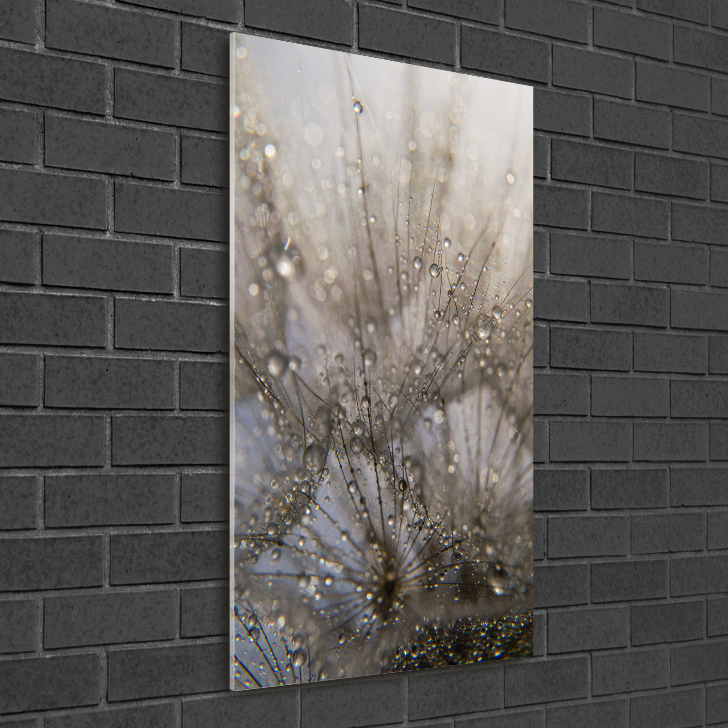 Leinwand-Bild Kunstdruck Hochformat 50x100 Bilder Pusteblume