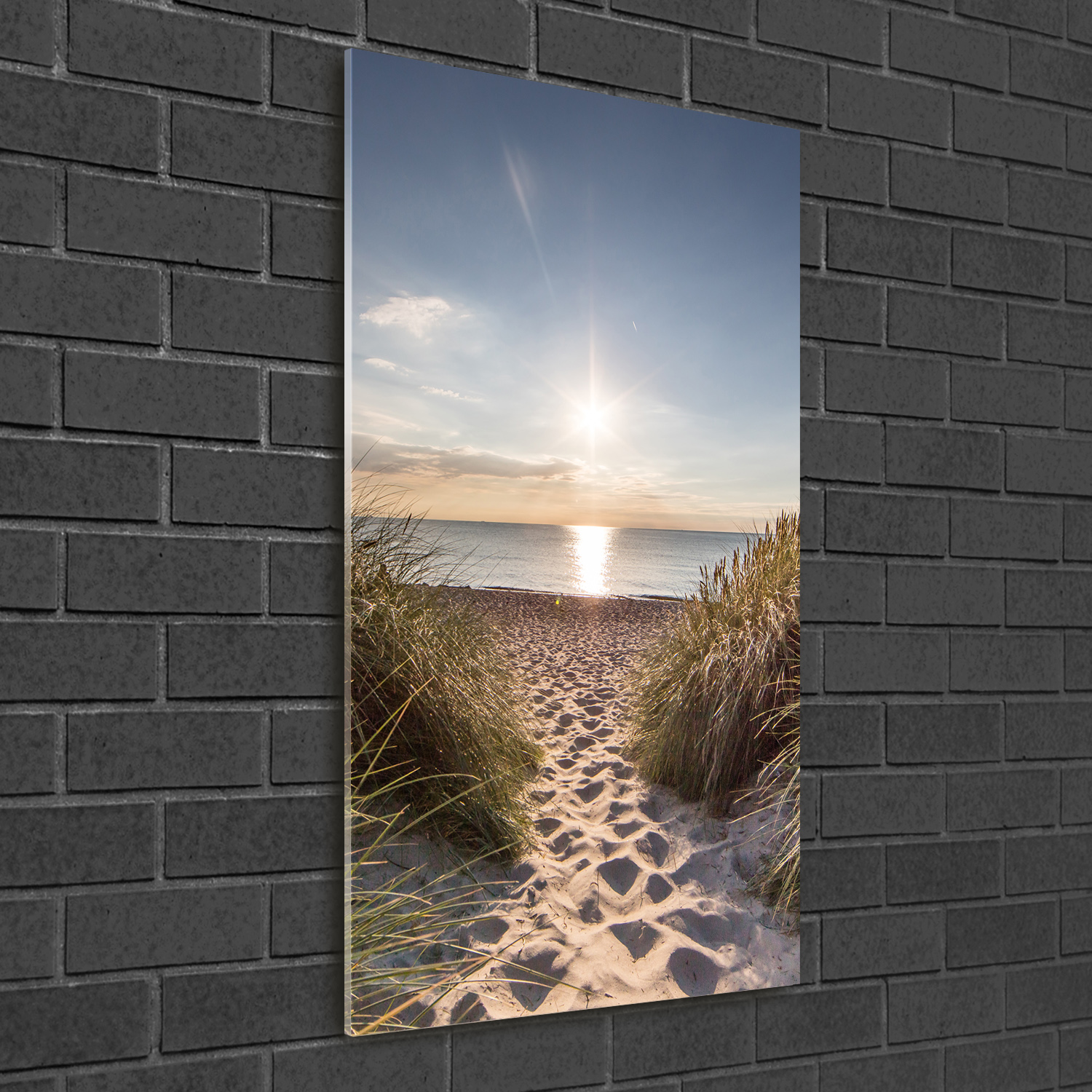 Wand-Bild Kunstdruck aus Hart-Glas Hochformat 50x100 Küstendünen
