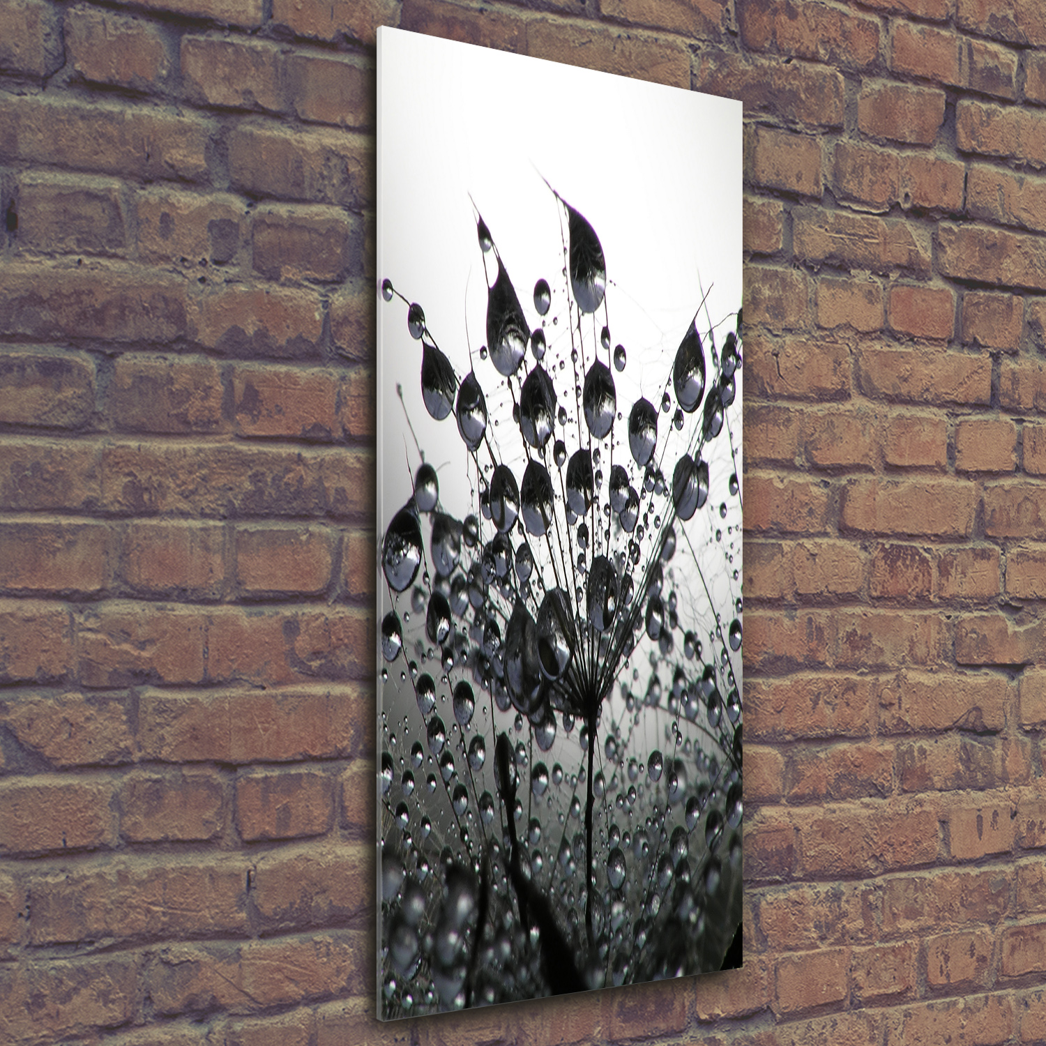Wand-Bild Kunstdruck aus Hart-Glas Hochformat 50x125 Pusteblume