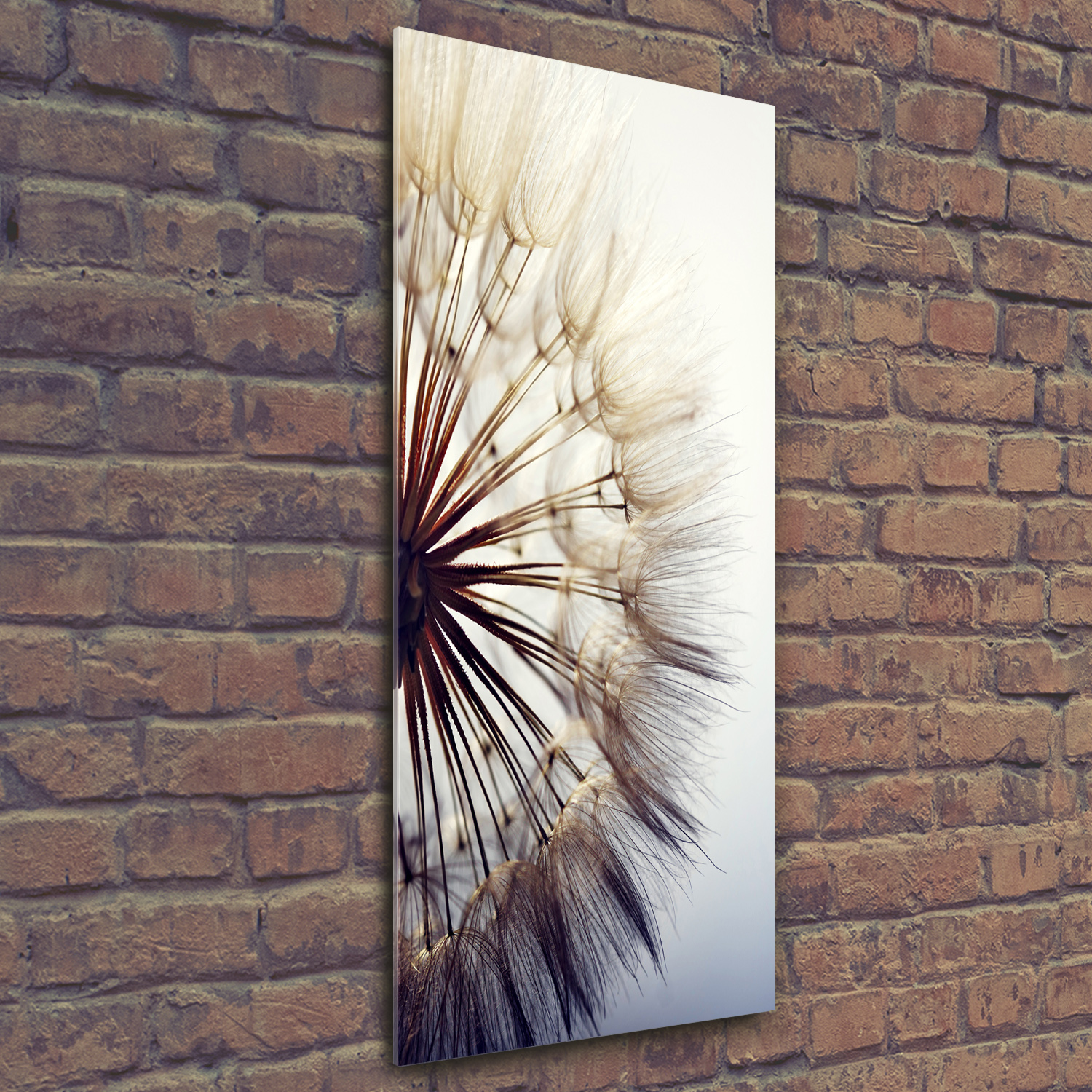 Wand-Bild Kunstdruck aus Hart-Glas Hochformat 50x125 Pusteblume
