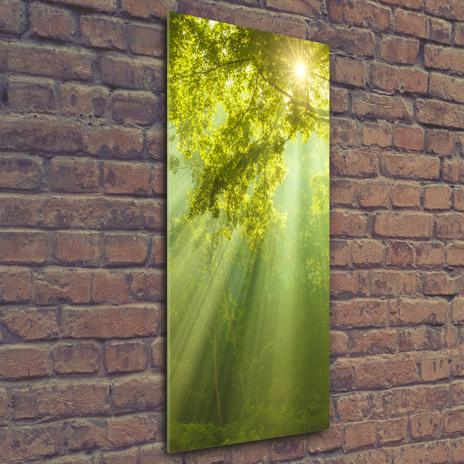 WandBild Kunstdruck aus HartGlas Hochformat 50x125 Sonne