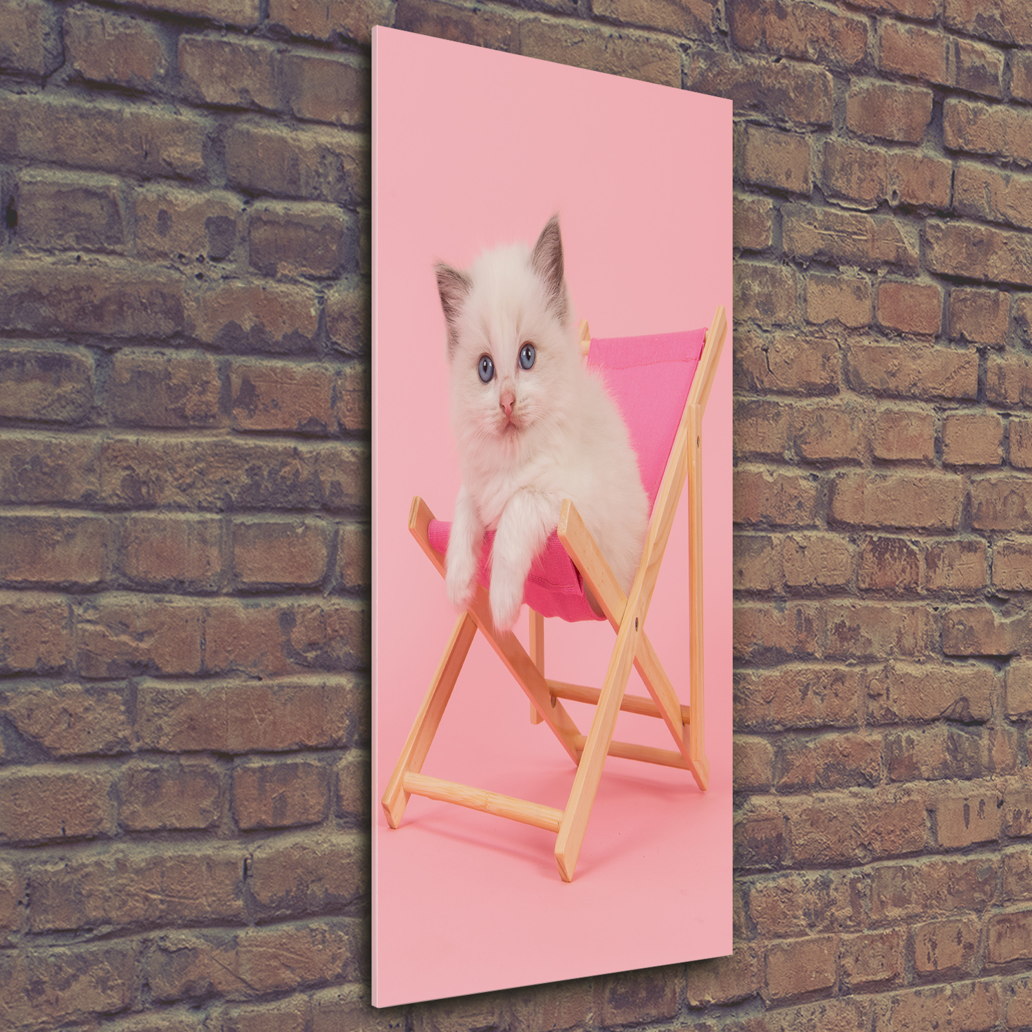 Wandbild Kunst-Druck auf Hart-Glas hochkant 50x125 Katze Liegestuhl