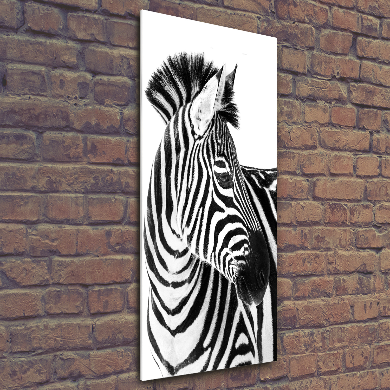 Wandbild Kunst-Druck auf Hart-Glas hochkant 50x125 Zebra Schnee