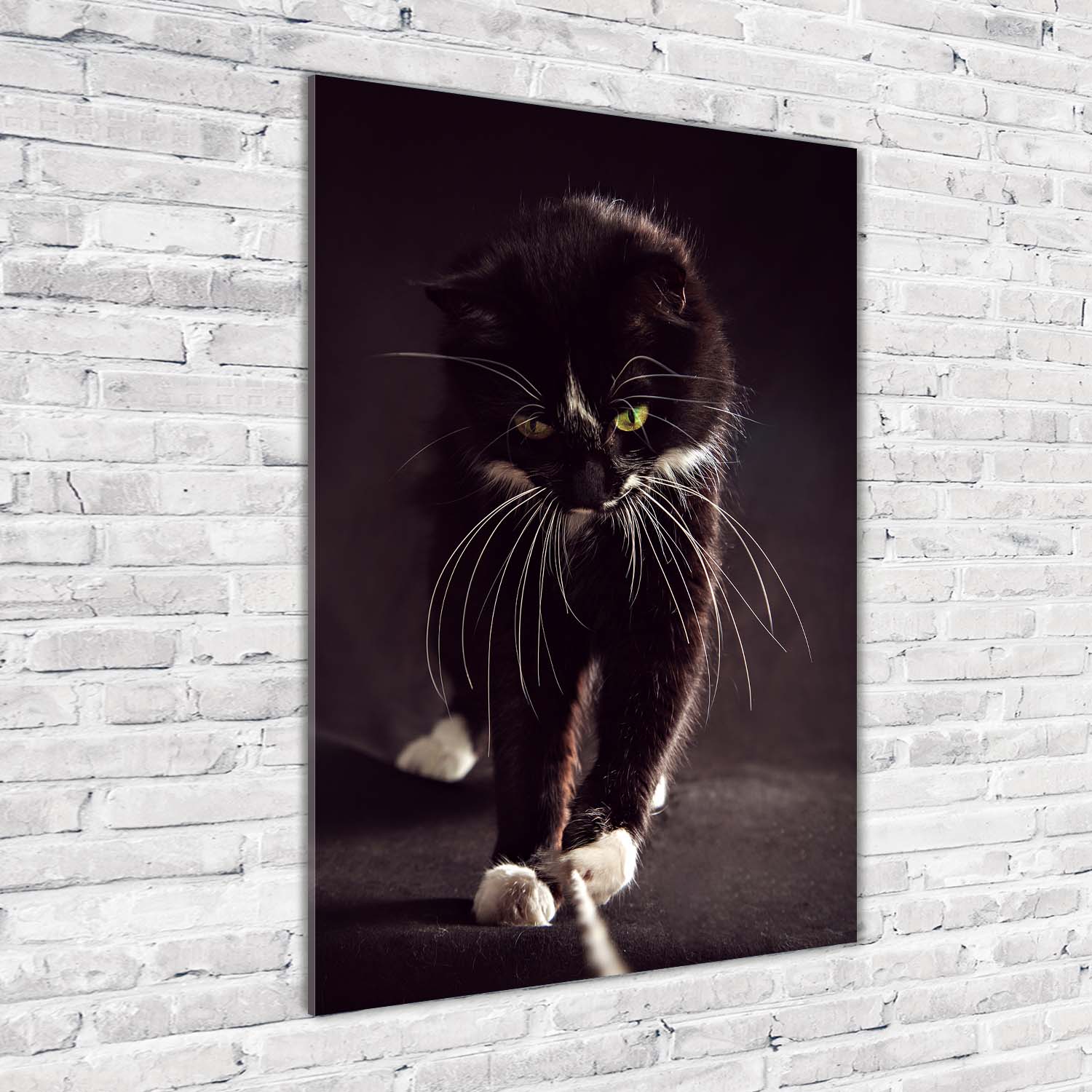Wand-Bild Kunstdruck aus Hart-Glas Hochformat 70x100 Schwarze Katze