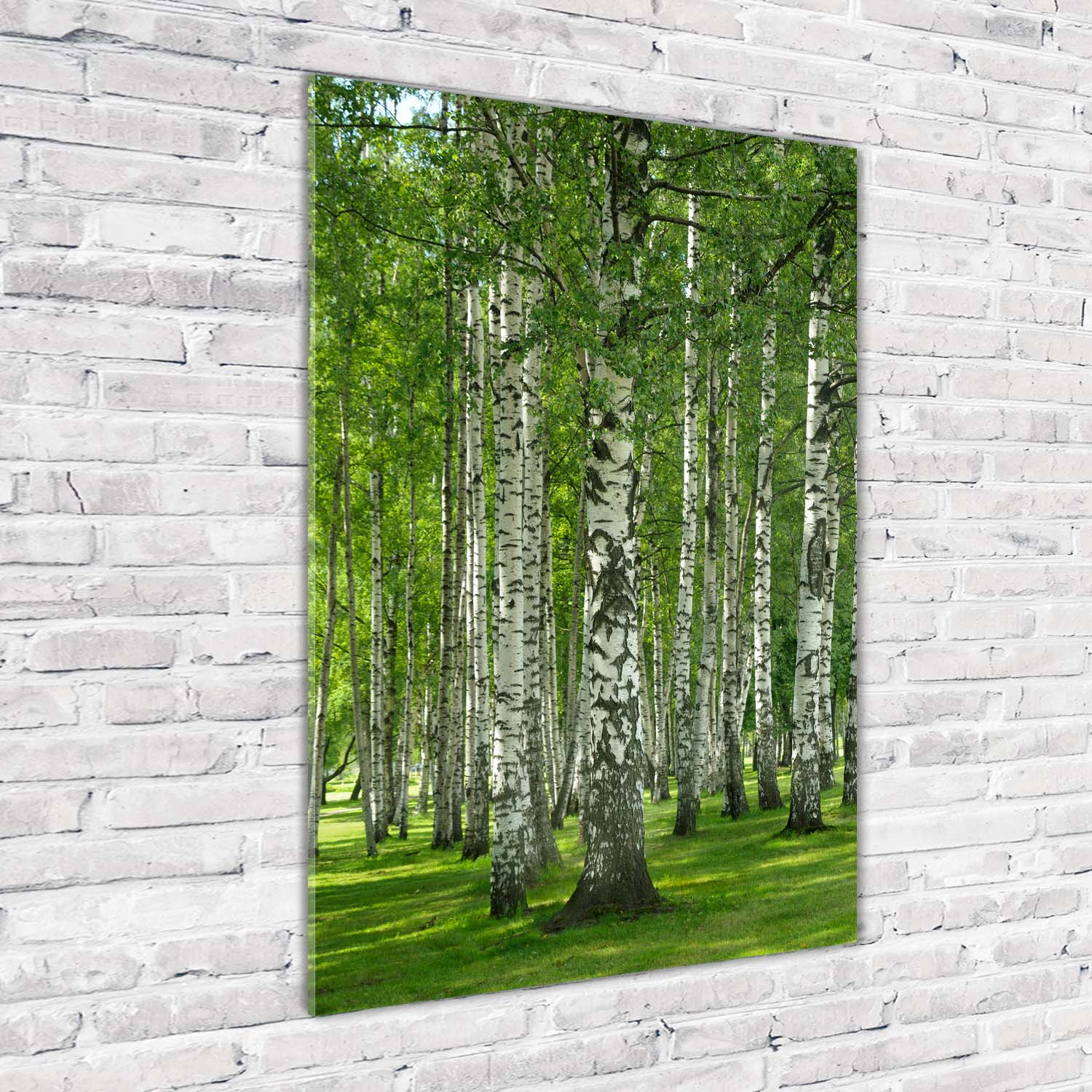 Wand-Bild Kunstdruck aus Hart-Glas Hochformat 70x100 Birkenwald