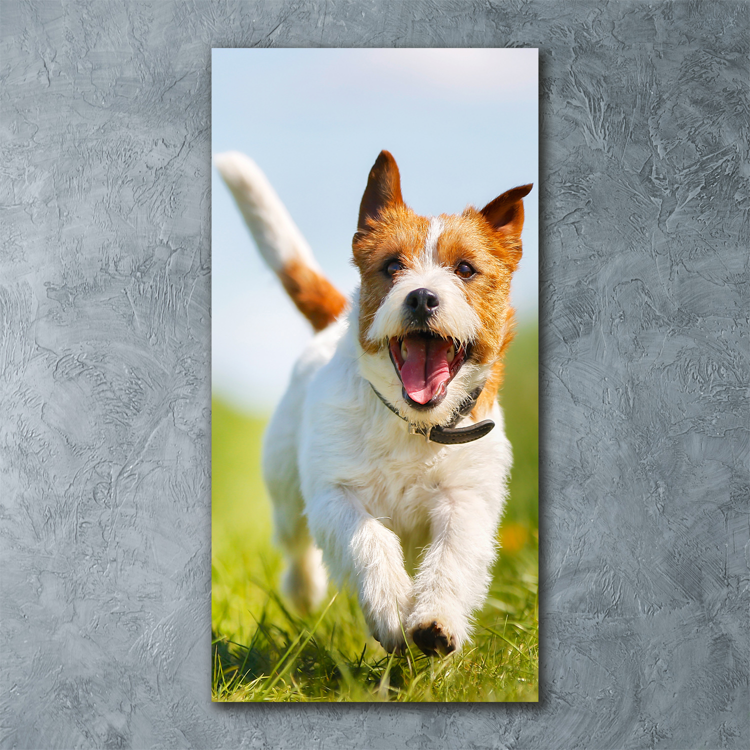 Wand-Bild Kunstdruck aus Hart-Glas Hochformat 60x120 Hund Jack Russell