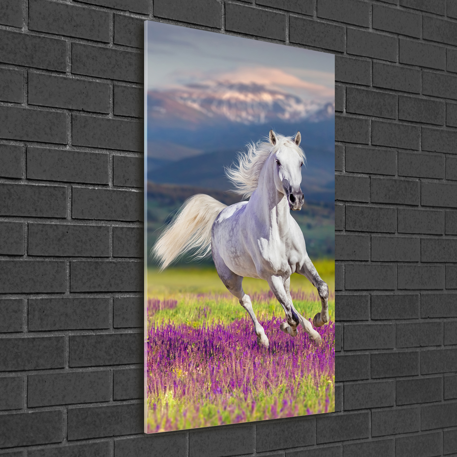 Tulup Tableau Sur Toile Image Imprimé 60x120 - Cheval blanc au galop