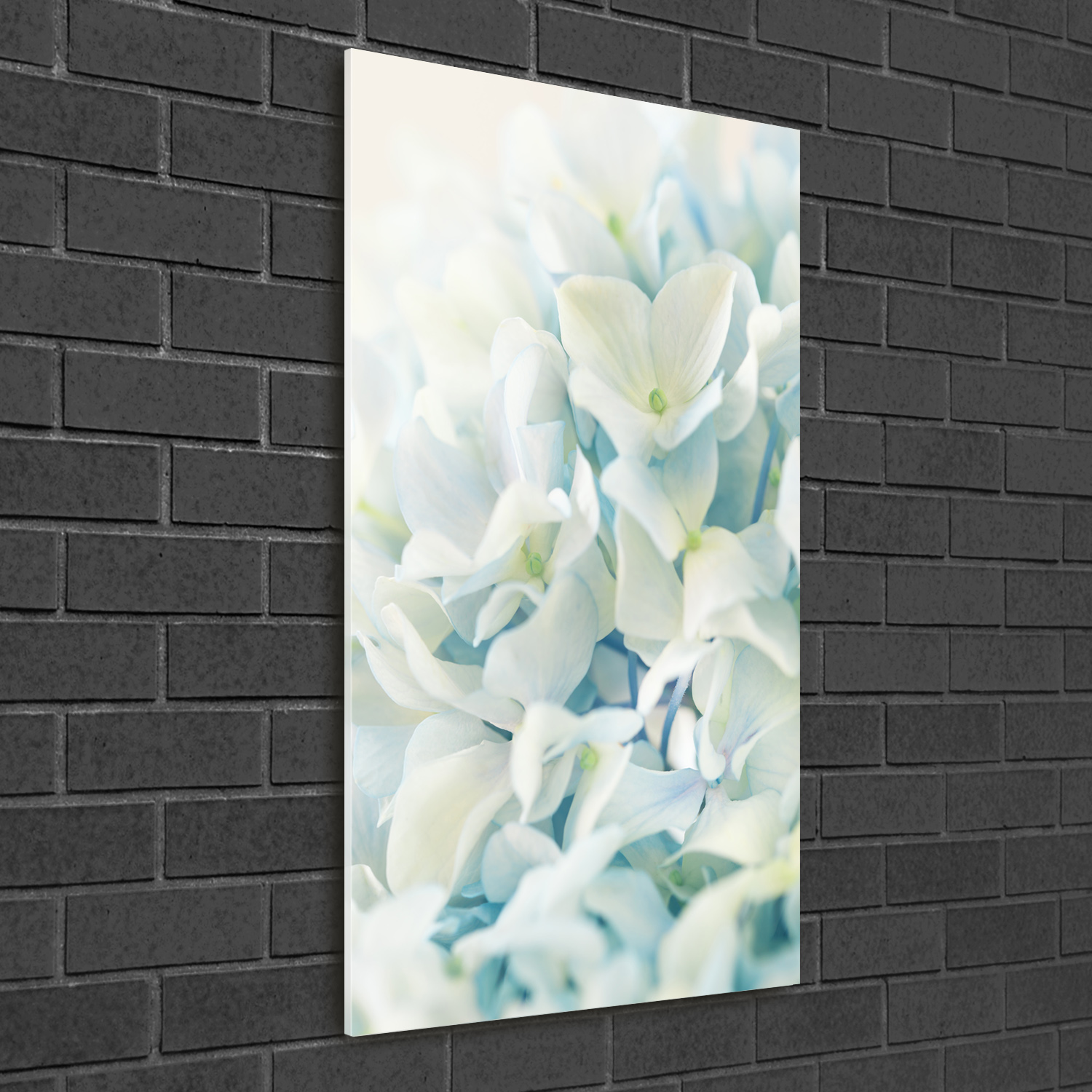 Wand-Bild Kunstdruck aus Acryl-Glas Hochformat 50x100 Hortensie Blume