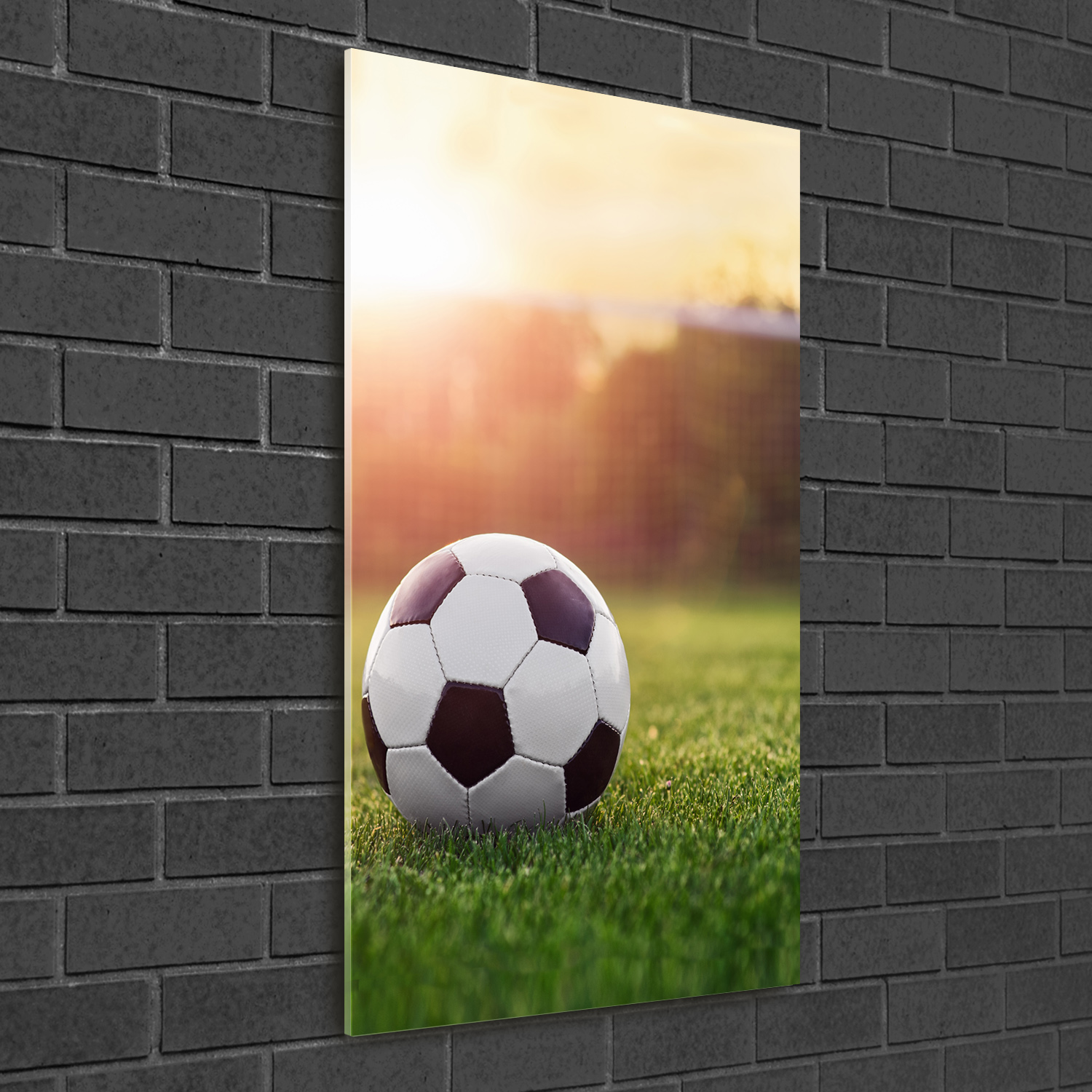Wandbild Druck auf Plexiglas® Acryl Hochformat 50x100 Fußball