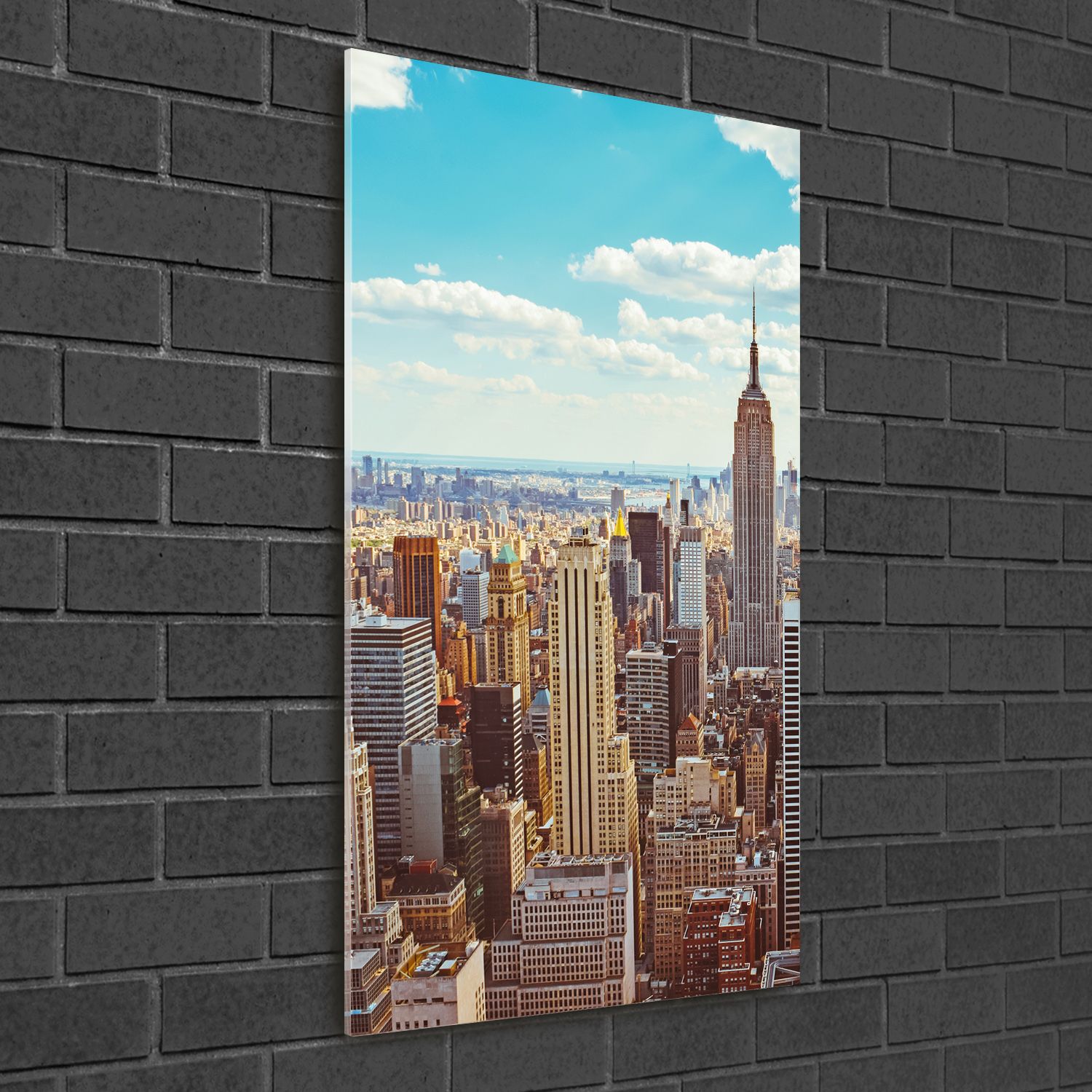 Wandbild Druck auf Plexiglas® Acryl Hochformat 50x100 New York Vogelflug