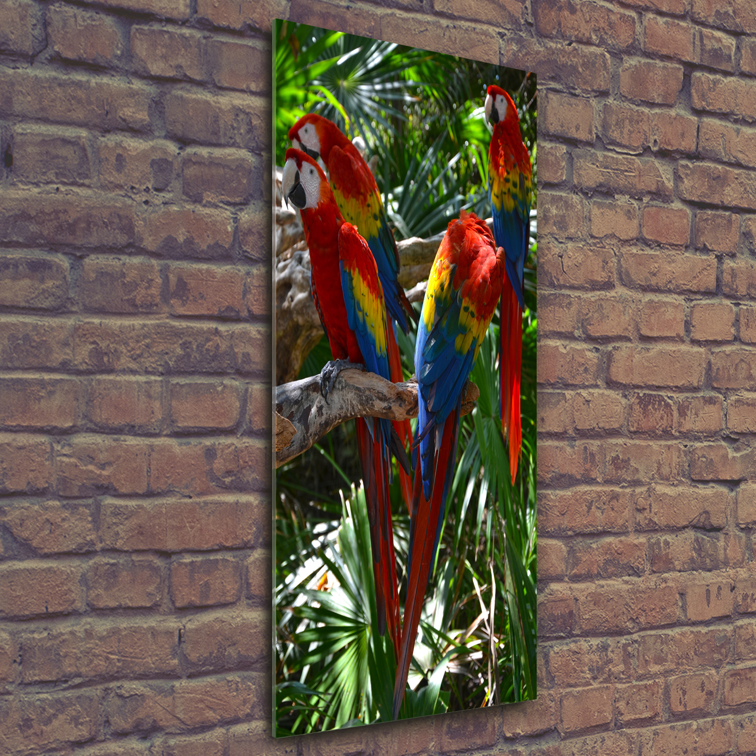 Tulup Image Sur Verre Trempé Tableaux 100x70 - Perroquets Sur La Branche