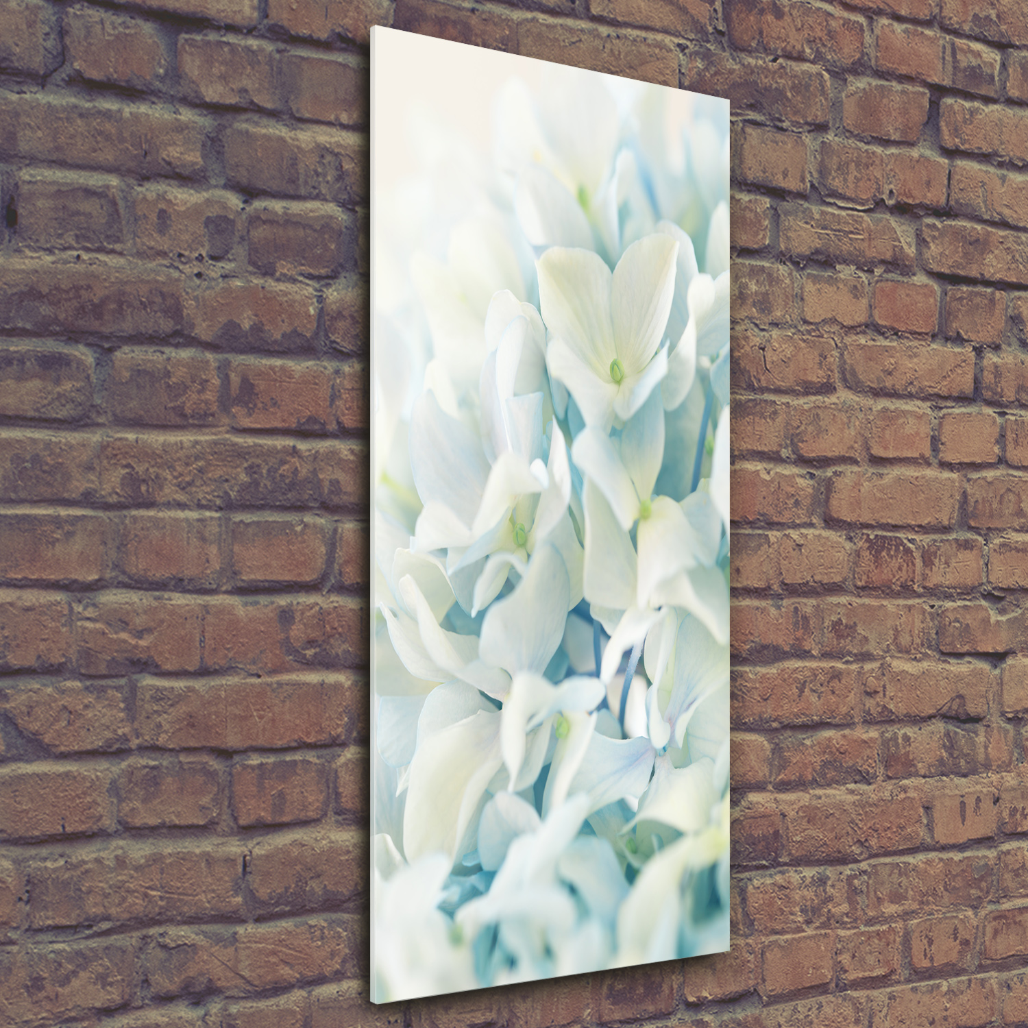 Wandbild Druck auf Plexiglas® Acryl Hochformat 50x125 Hortensie Blume