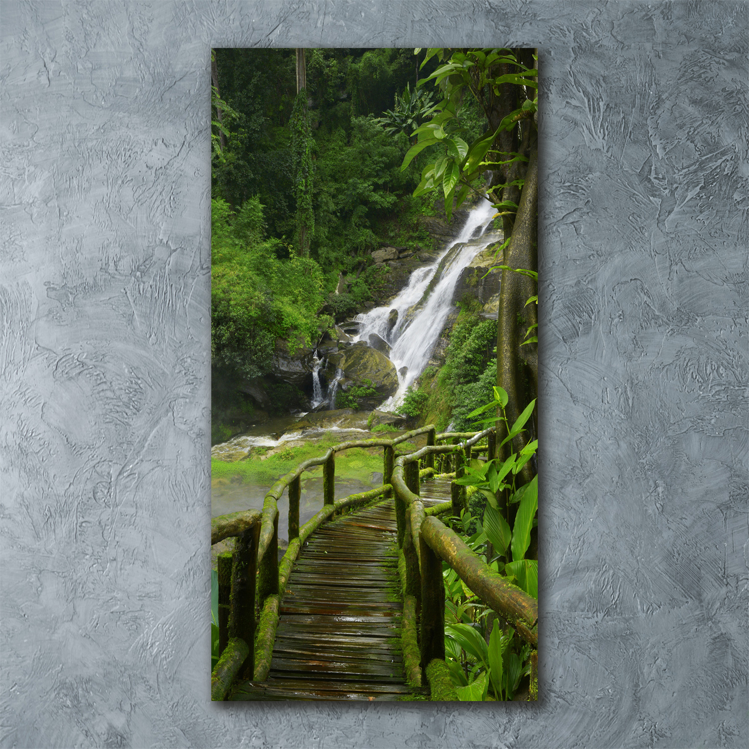Wand-Bild Kunstdruck aus Acryl-Glas Hochformat 60x120 Pfad Dschungel