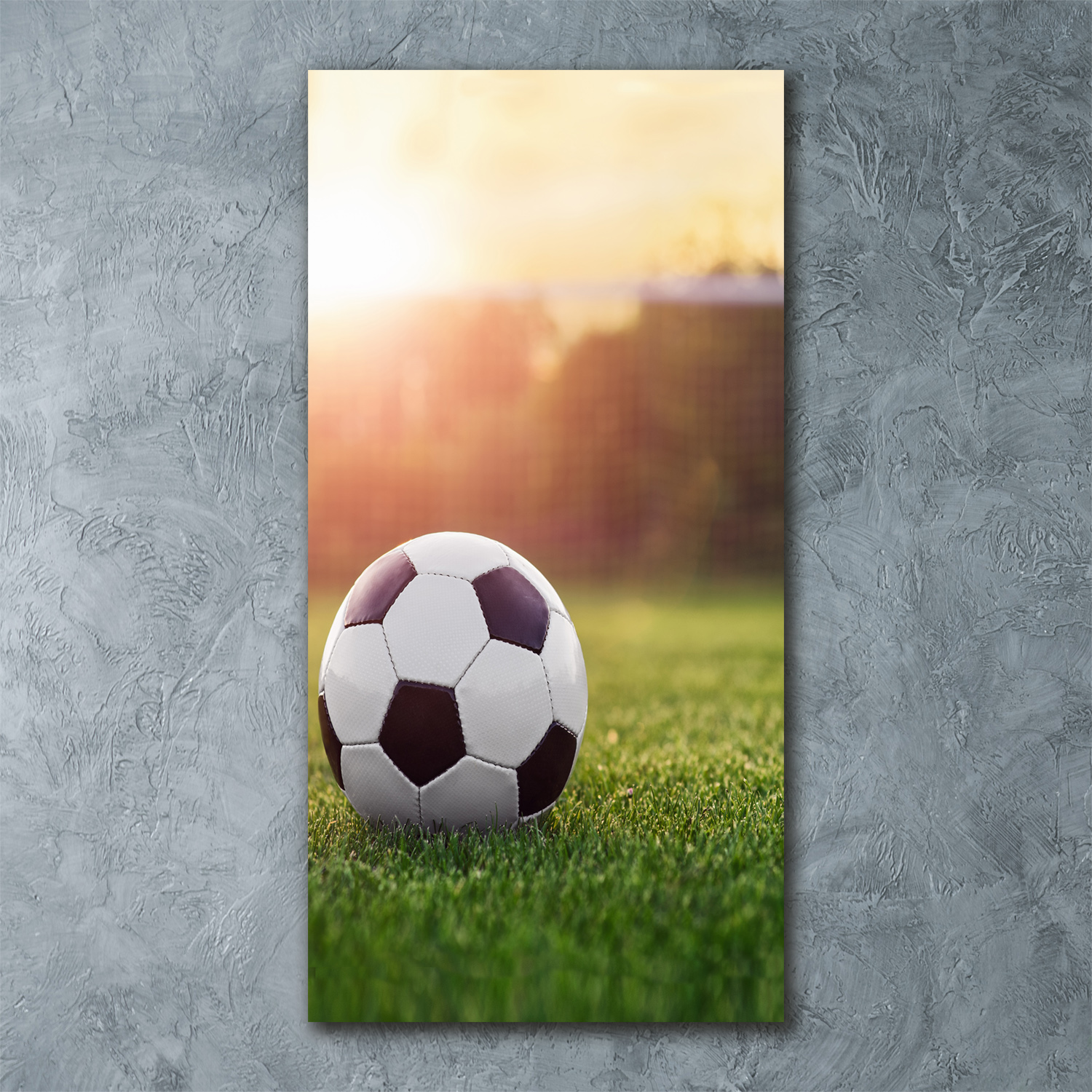 Wandbild Druck auf Plexiglas® Acryl Hochformat 60x120 Fußball