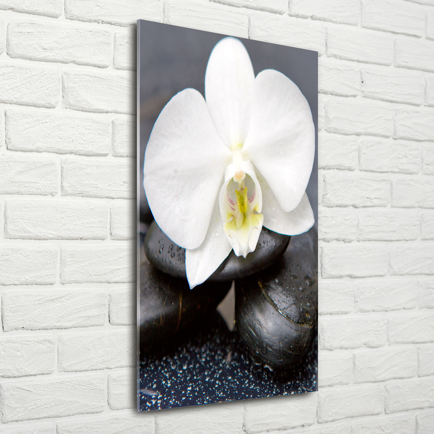 Wand-Bild Kunstdruck aus Hart-Glas Hochformat 70x140 Weg zum Strand