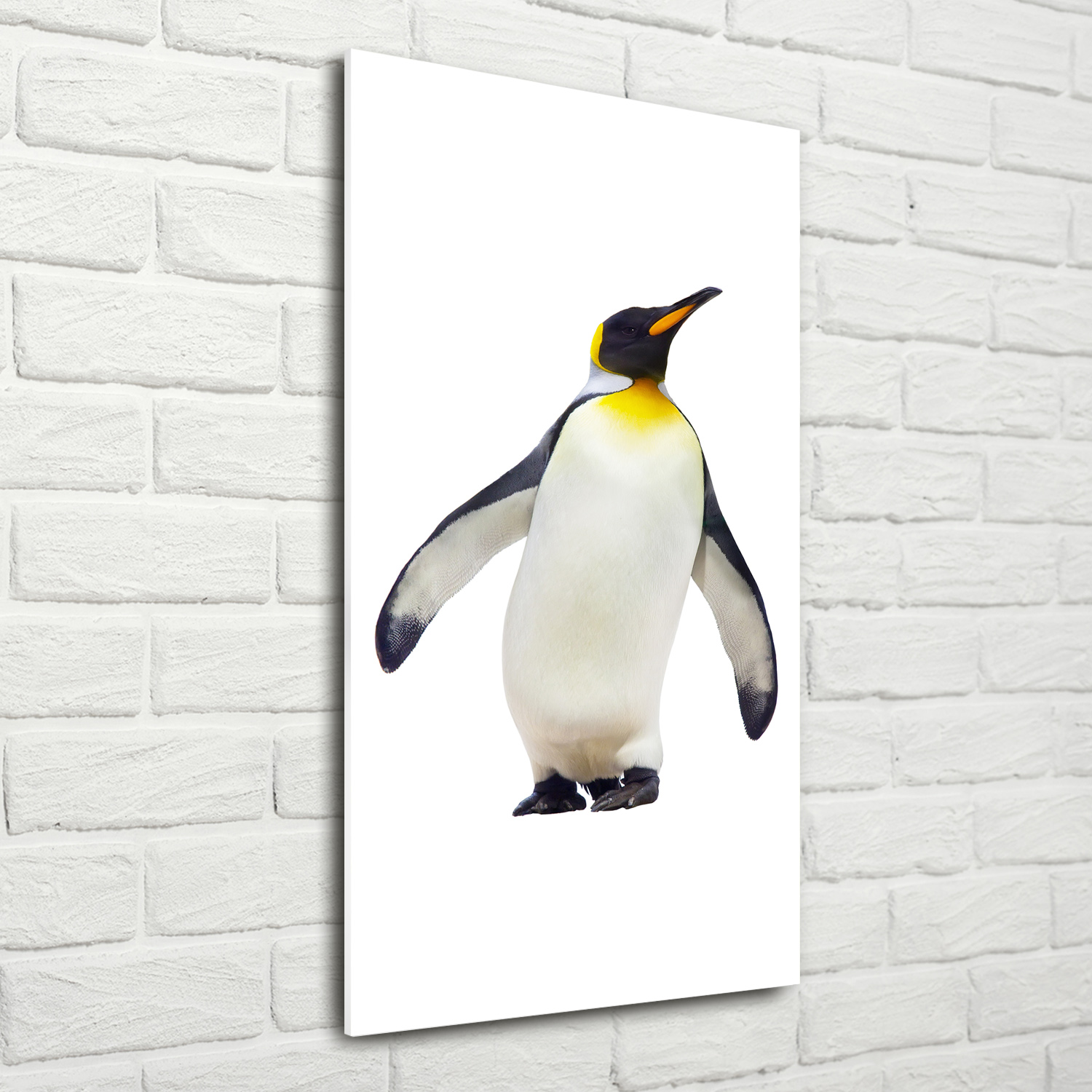 Wandbild Druck auf Plexiglas® Acryl Hochformat 70x140 Pinguin