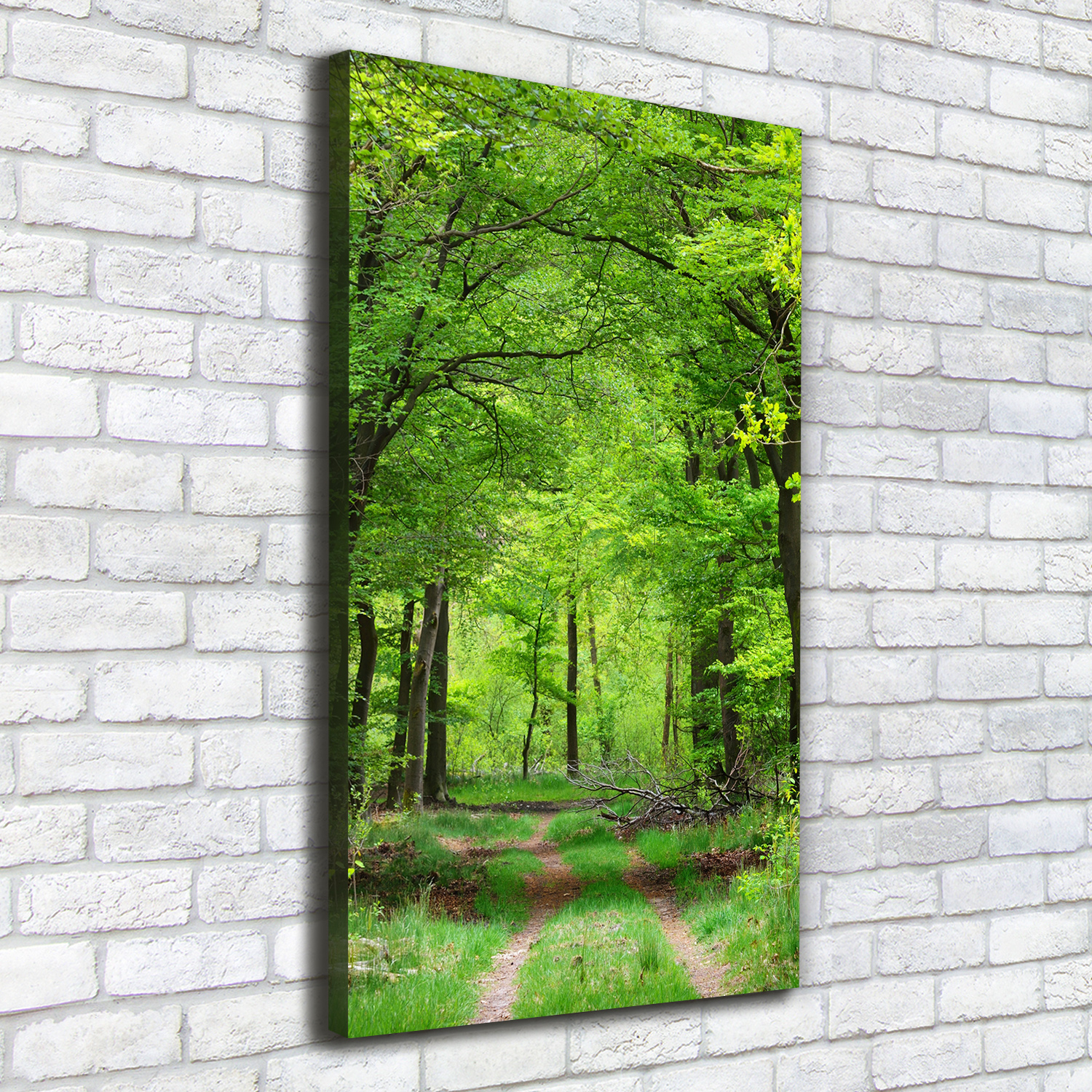 LeinwandBild Kunstdruck Hochformat 50x100 Bilder Grüner Wald eBay LeinwandBild Kunstdruck Hochformat 50x100 Bilder Grüner Wald eBay