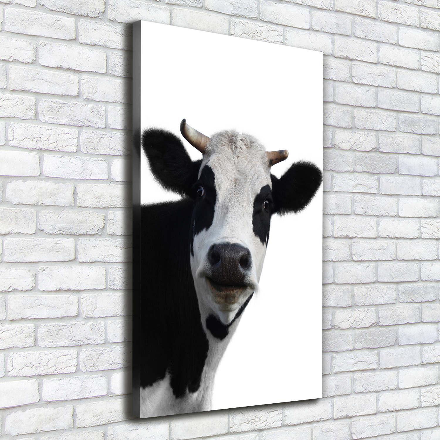 49+ Kuh bilder auf leinwand , LeinwandBild Kunstdruck Hochformat 50x100 Bilder Kuh eBay