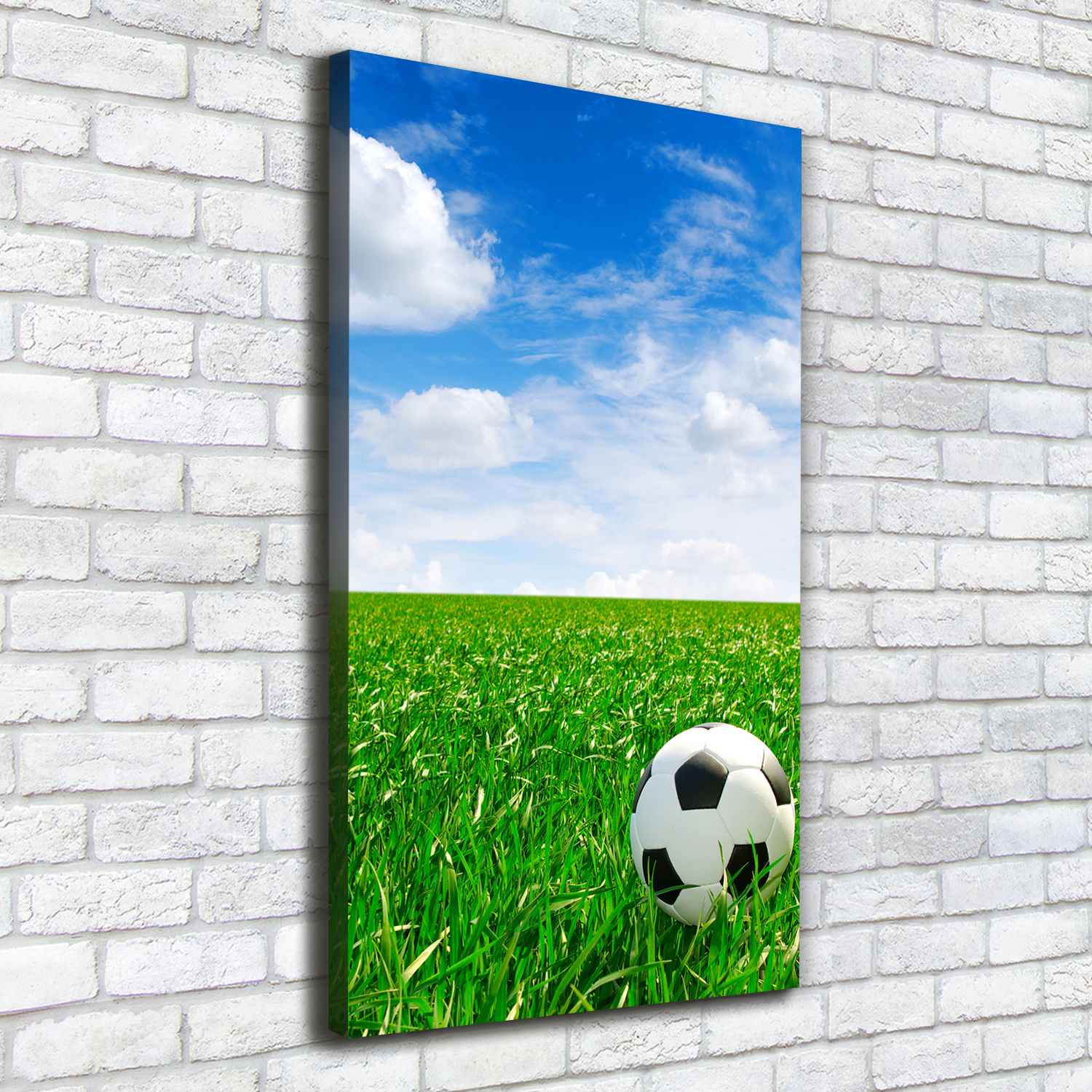 Leinwand-Bild Kunstdruck Hochformat 50x100 Bilder Fußball Rasen