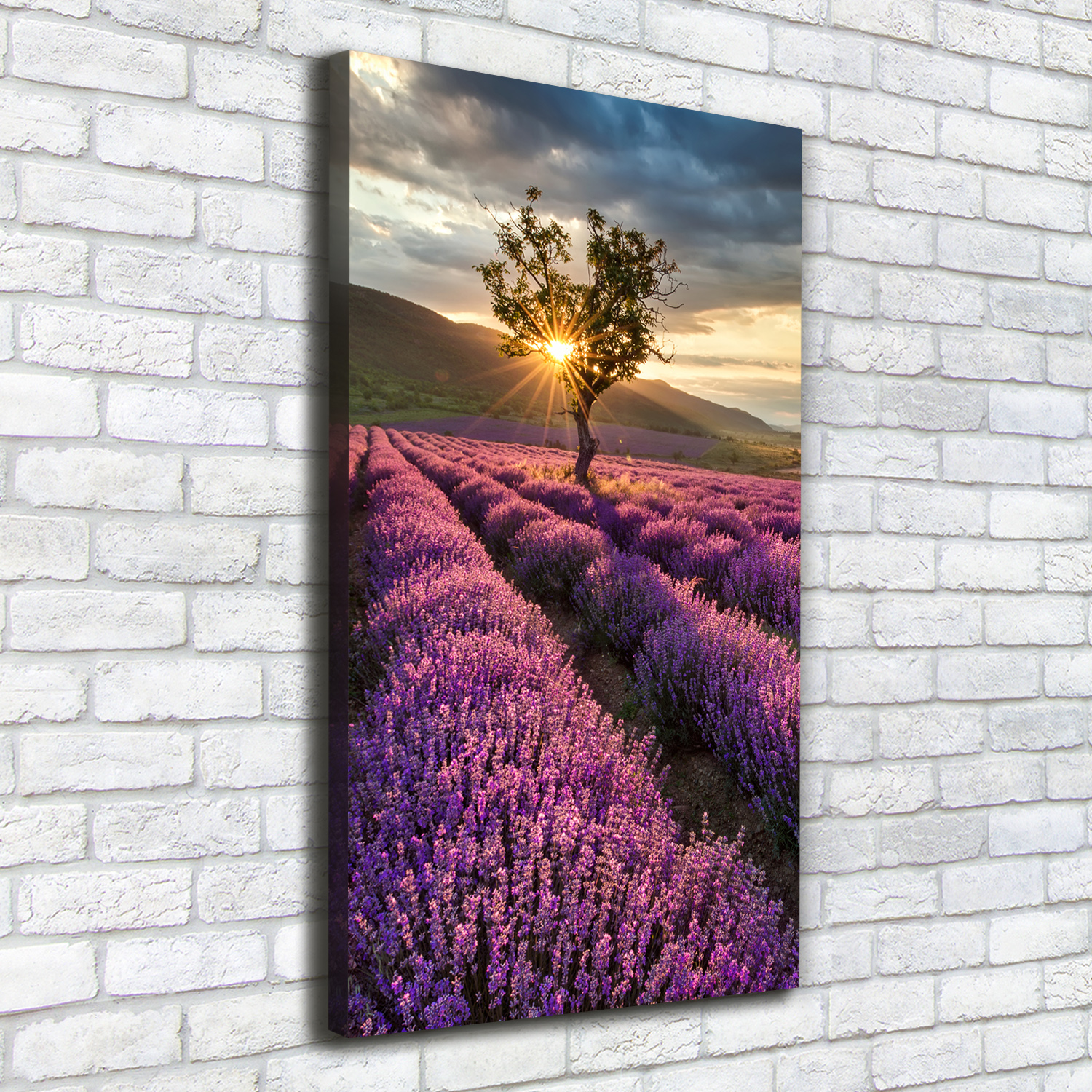 Leinwand-Bild Kunstdruck Hochformat 50x125 Bilder Lavendelfeld