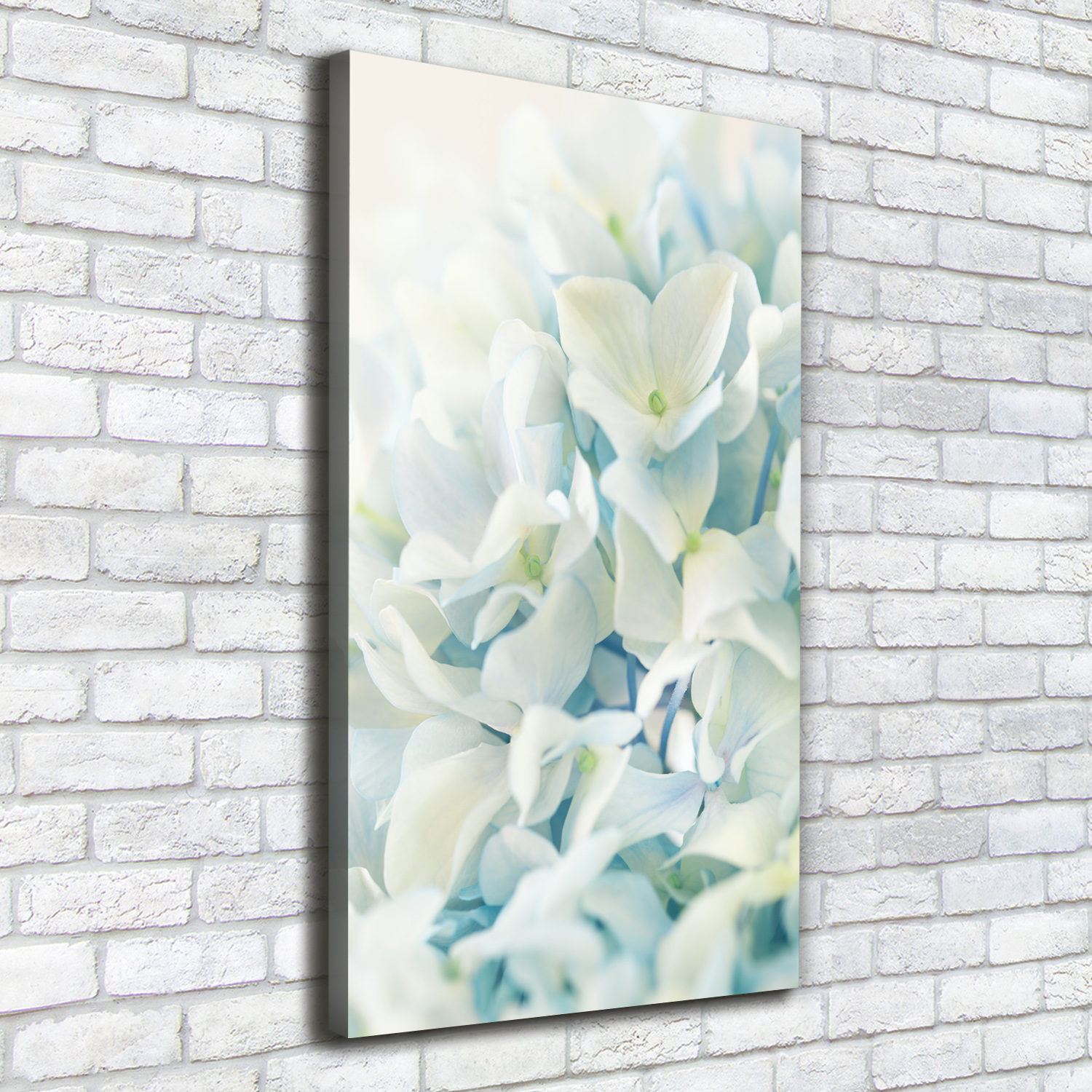 Leinwand-Bild Kunstdruck Hochformat 50x100 Bilder Hortensie Blume