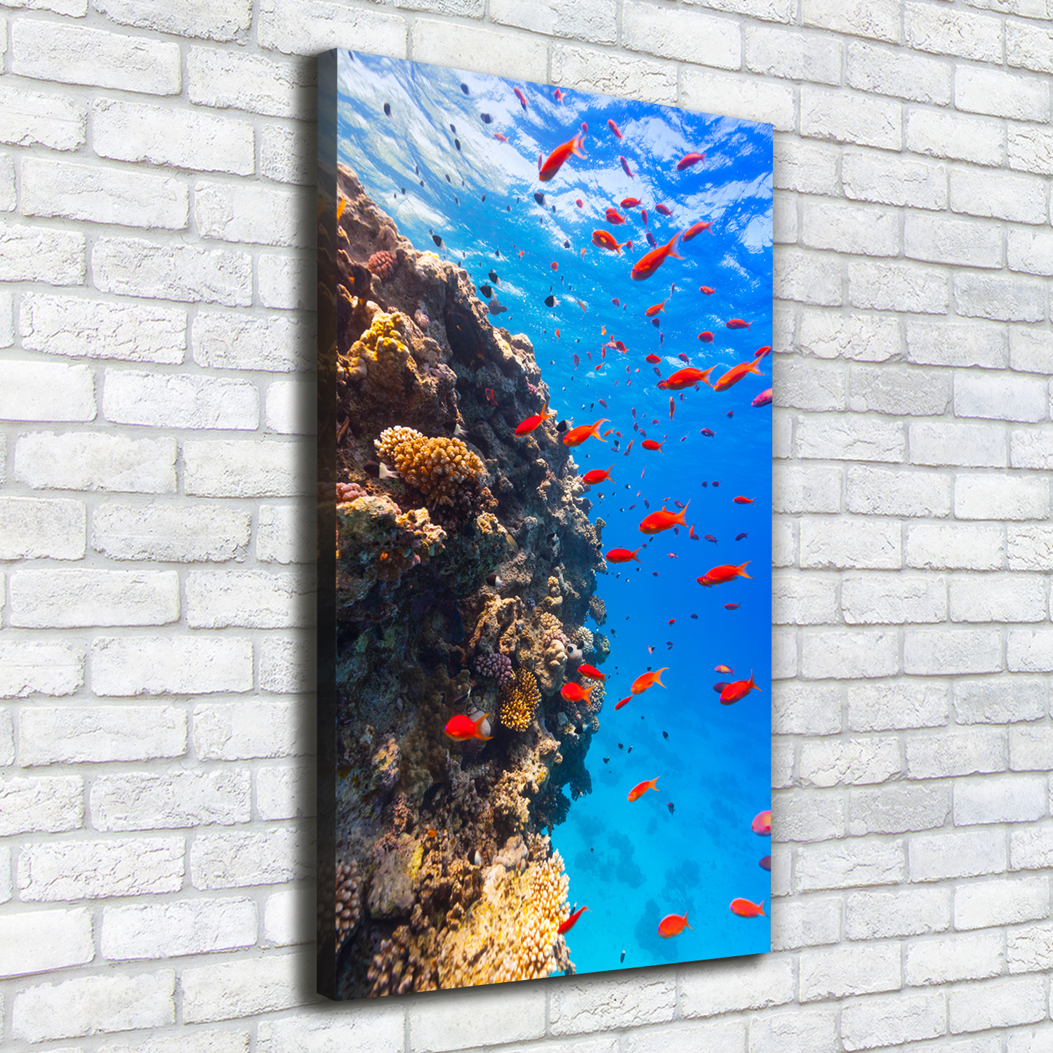 Leinwand-Bild Kunstdruck Hochformat 50x100 Bilder Korallenriff