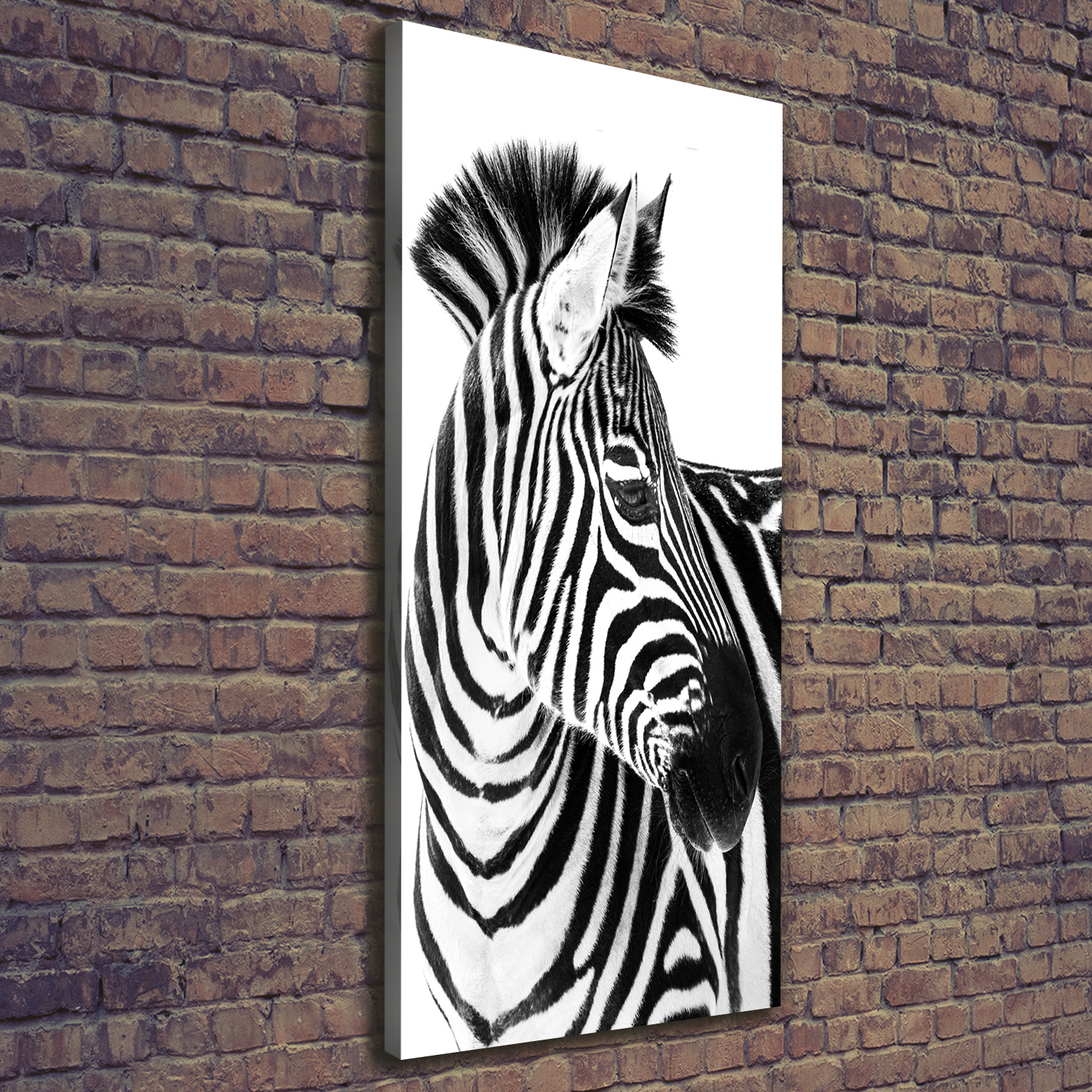 Leinwand-Bild Kunstdruck Hochformat 50x125 Bilder Zebra Schnee
