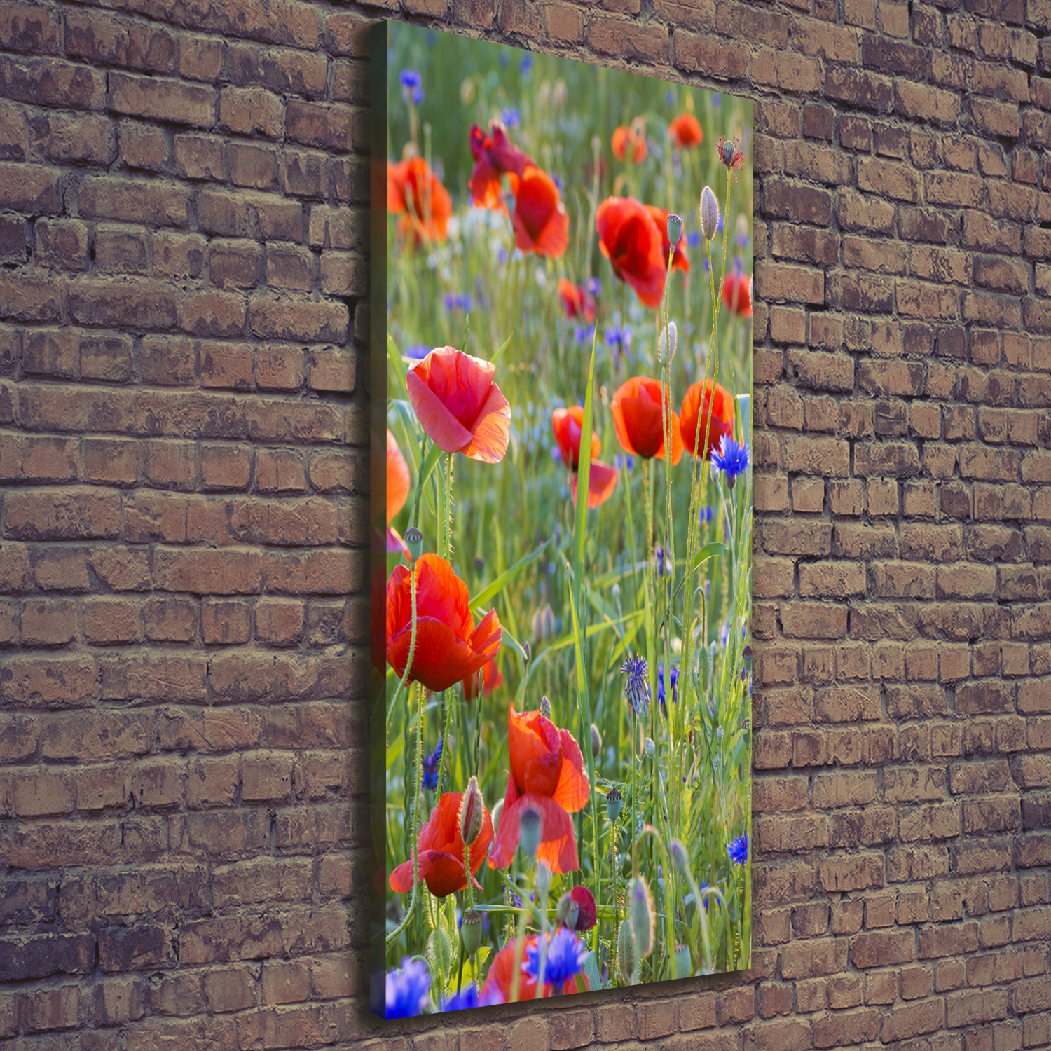 LeinwandBild Kunstdruck Hochformat 50x125 Bilder Feldmohnblumen eBay LeinwandBild Kunstdruck Hochformat 50x125 Bilder Feldmohnblumen eBay