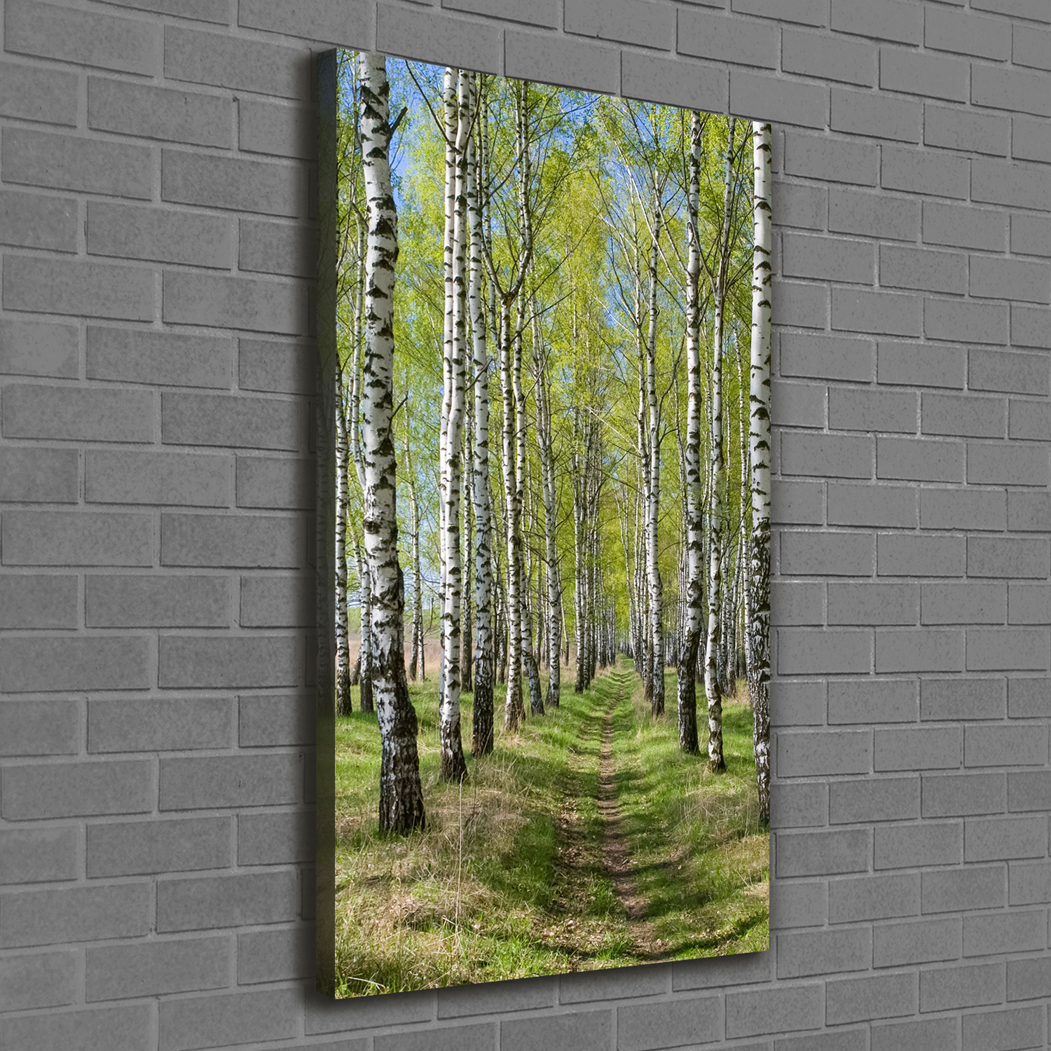 Leinwand-Bild Kunstdruck Hochformat 60x120 Bilder Birkenwald