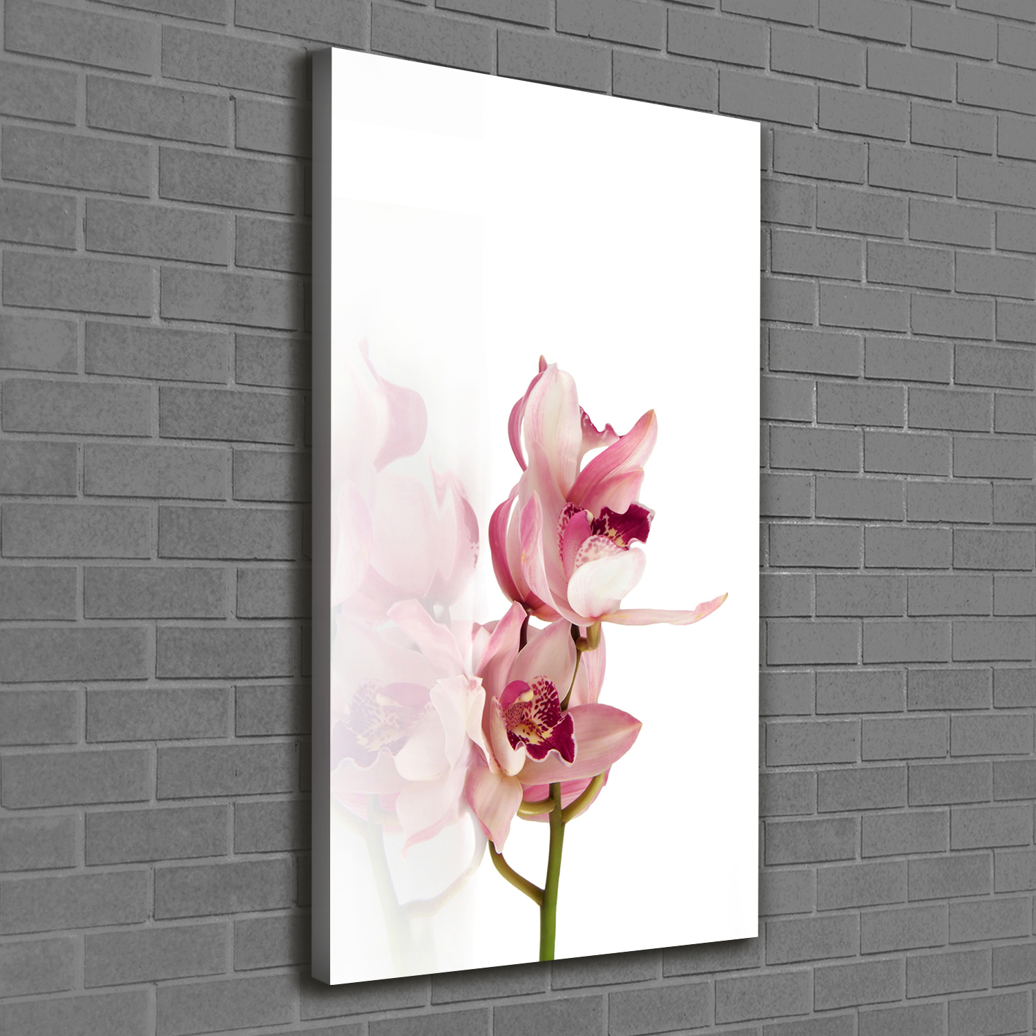 Leinwand-Bild Kunstdruck Hochformat 60x120 Bilder Rosa Orchidee