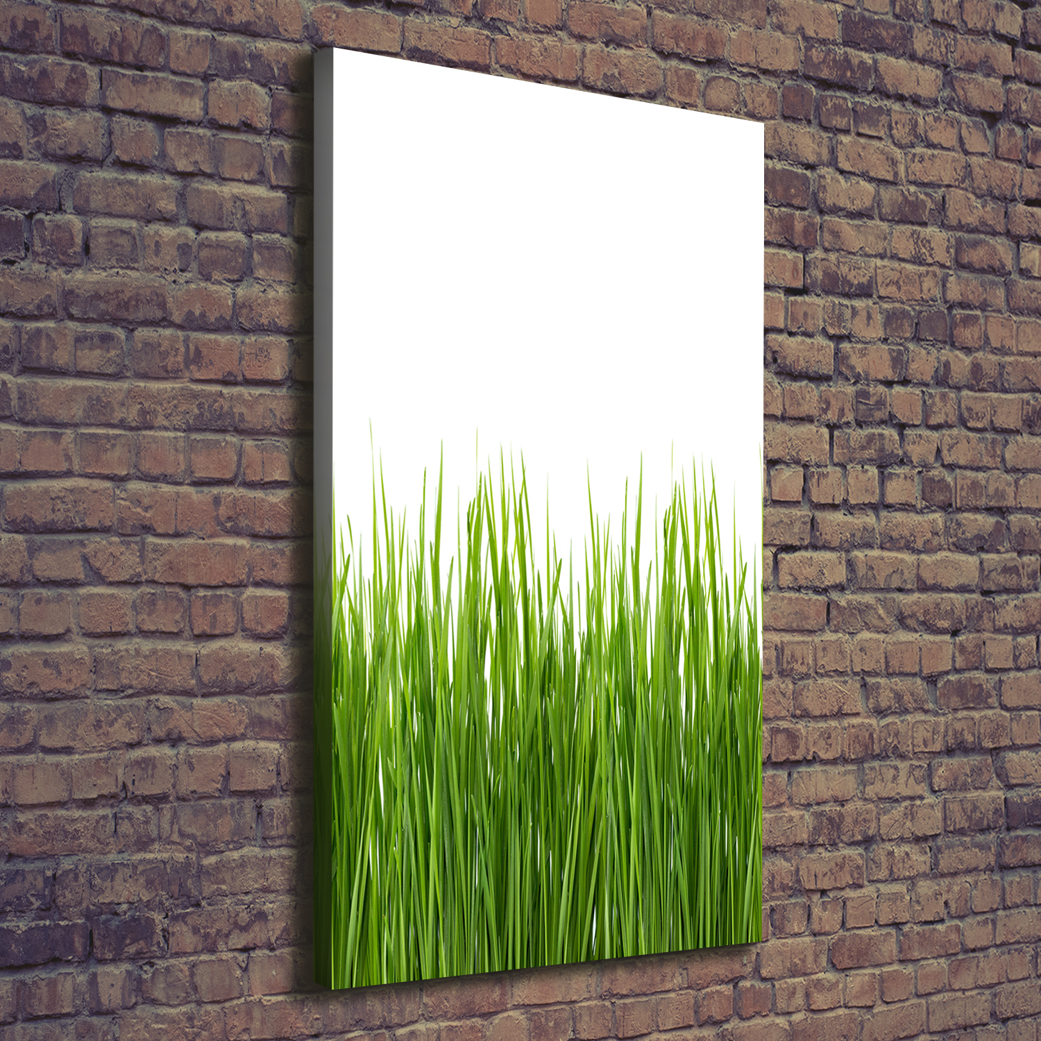 Leinwand-Bild Kunstdruck Hochformat 70x140 Bilder Grünes Gras