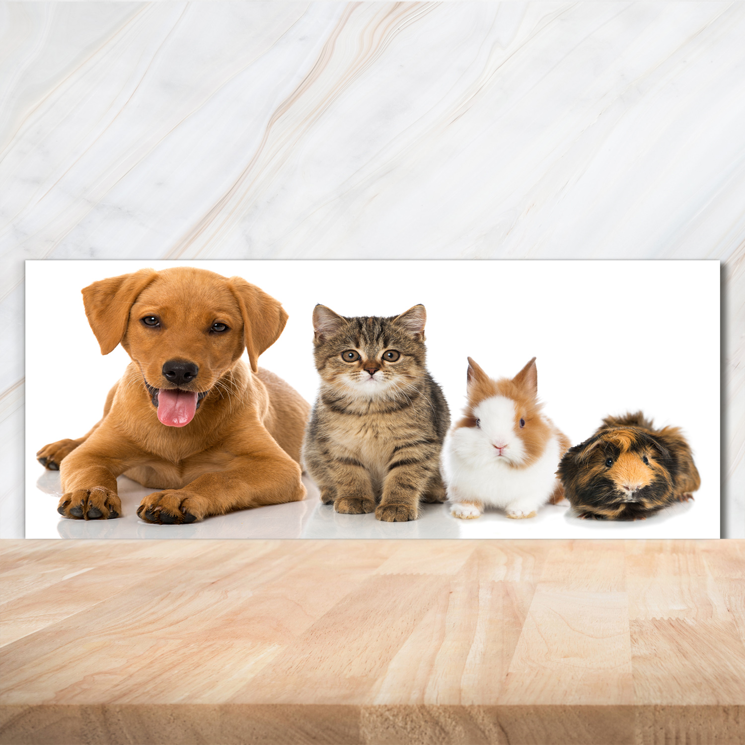 Küchenrückwand Spritzschutz aus Glas 125x50 Deko Tiere Hund und Katze