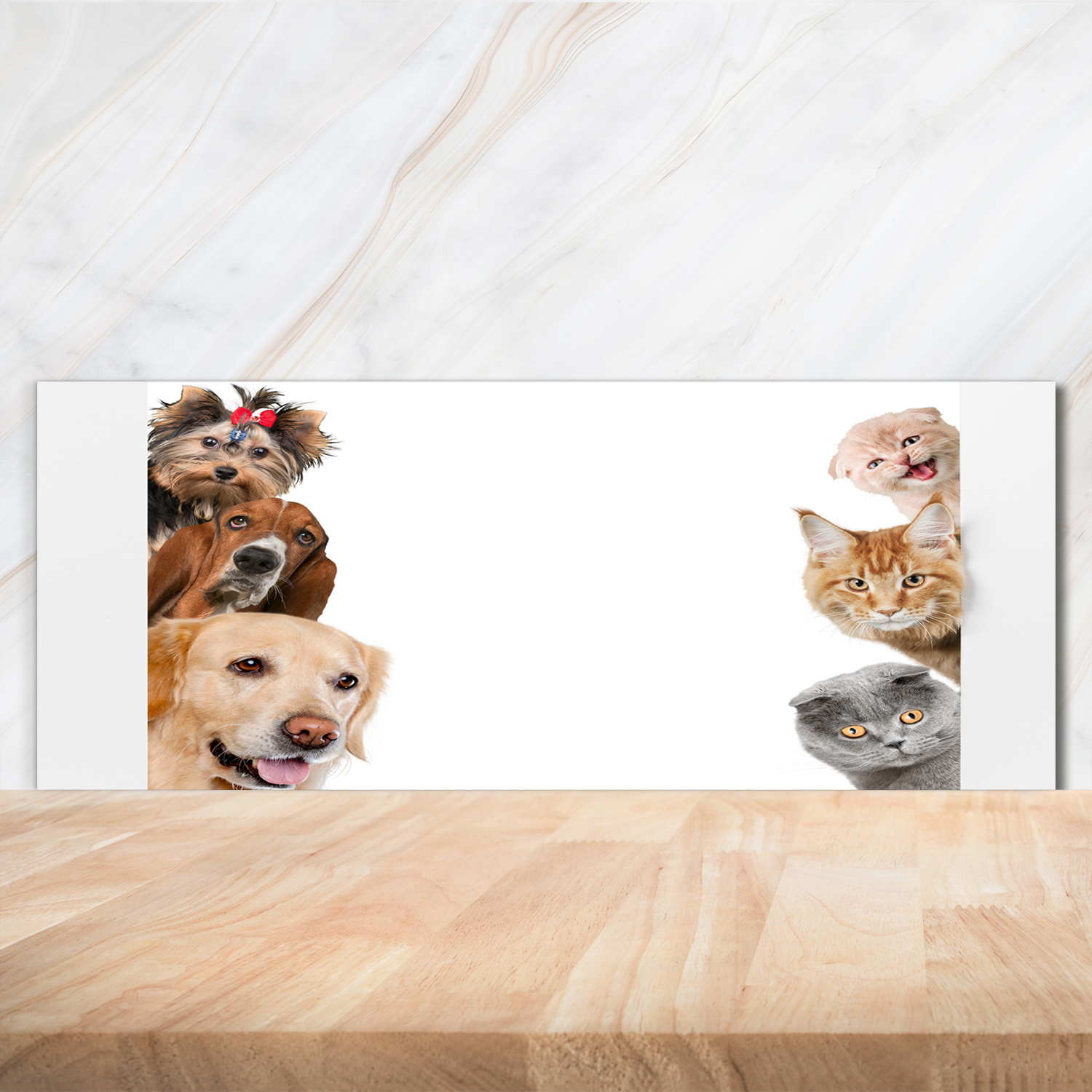 Küchenrückwand Spritzschutz aus Glas 125x50 Deko Tiere Hunde und Katzen
